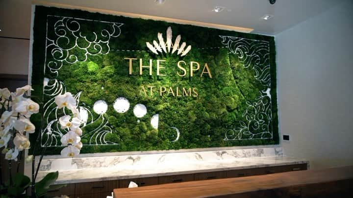 Palms Casino Resortのインスタグラム：「Welcome to a world of tranquility and rejuvenation at the #SpaatPalms. ✨   From the moment you step in, immerse yourself in a luxurious spa experience, complete with top-of-the-line amenities and a highly trained staff.   With three levels of pure relaxation, 15 treatment sanctuaries, and a full-service salon, you’ll leave feeling renewed, refreshed, and ready to take on the day. ✨」