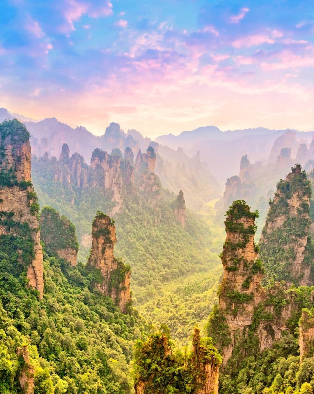 Rosetta Stoneのインスタグラム：「Renowned for its surreal stone summits and otherworldly structures that soar into the heavens, #TianziMountain (天子山) is nestled within Zhangjiajie National Forest Park (张家界国家森林公园) in the Hunan Province of China. It attracts millions of visitors annually.  Here are 4 interesting facts about Tianzi Mountain:  1. It was formed by sedimentary rocks about 400 million years ago. The rocks have slowly been carved out by water and wind. What’s left behind are the weathered, slender towers (some as tall as about 4,100 feet) that resemble skyscrapers.  2. It gets its name from a Tujia farmer named Xiang Dakun. In 1385, Xiang Dakun led a revolution against Emperor Zhu Yuanzhang, the founder of the Ming Dynasty, and called himself "Xiang Wang Tianzi" (meaning "Son of Heaven"), which is the traditional epithet of the Chinese emperor. They fought for 40 days before they were finally defeated. According to some legends, Xiang Dakun fought until he was forced back to the edge of the mountain’s cliff and fell to his death into the Shentang Gulf. After his death, his lover covered the cliff with flowers, which supposedly explains the flowers that cover the ledges today.   3. The Shentang Gulf (神堂湾) is a bottomless gorge shaped like a bucket. It is surrounded by bluffs, has a dark green pool at the bottom, and still remains untouched by human footprints.   4. The site became even more popular after it inspired the alien landscape of Pandora depicted in the 2009 blockbuster film Avatar. Today, Tianzi Mountain is unofficially called the “Avatar Hallelujah Mountain.”  Would you like to visit this unique site?」