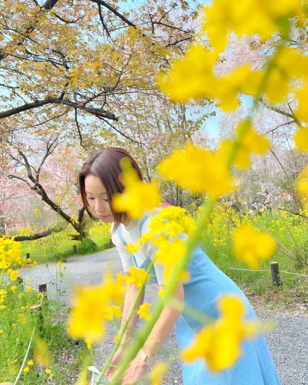 かすみりささんのインスタグラム写真 - (かすみりさInstagram)「🐰💕 ． 菜の花、桜、かすみりさ ． #春爛漫 #菜の花 #さくら #素敵な場所 #また行きたい #springfullbloom #rapeblossoms #cherryblossom #beautifulplace #kyoto #love #smile #happy #peace #🌼 #💛 #🌸 #💗」4月25日 18時00分 - risa_kasumi