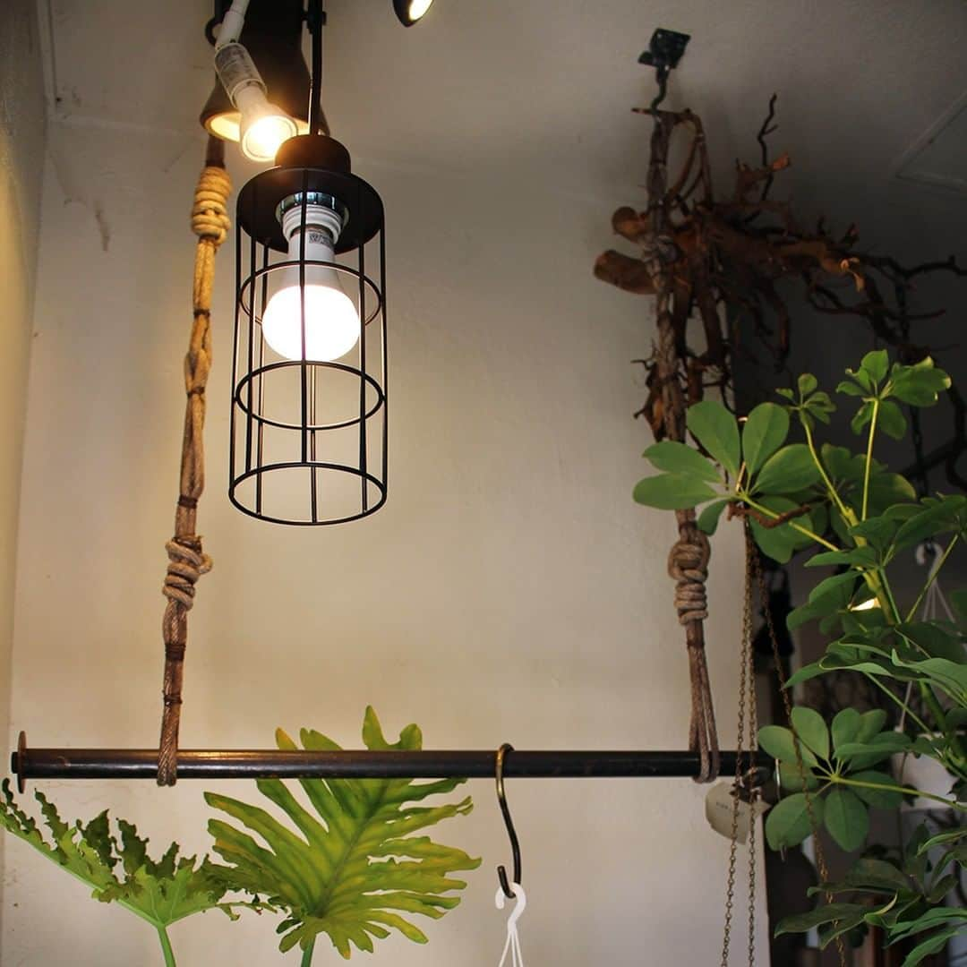 BRID 【NEXTANDARD MARKET】さんのインスタグラム写真 - (BRID 【NEXTANDARD MARKET】Instagram)「. 【新商品発売】  PLANTS LIGHT 40 / PLANTS LIGHT 60  植物の生長を促し、人も快適に暮らせるLED照明です。  一般のLEDライトとは異なる波長の光によって植物の光合成を促し、生長や健康維持ができます。 観葉植物を育てている方はもちろん、ハーブなど実際に口にするものを育てている方にもおすすめ◎  また、人にとっても自然光の下に近い色合いで過ごせます。 外見はシンプルな電球で、日々使っているものと同じサイズ感のため、お気に入りの照明と組み合わせて使えます！ 実用性に加えインテリア性も持ち合わせた、植物にも人にも優しいアイテムです。  ♦︎植物の生長や健康維持に 　太陽光の波長の中で、植物が光合成する際に必要とされる光の波長に合わせたLED電球  ♦︎色の再現度が高く、人にも自然な明るさ 　演色性が高いため、自然光下に近い色合いが再現できます。  ♦︎手軽な電球タイプ 　お好みの照明に取り付けられるので、手軽にお使い頂けます。 　インテリア性と実用性の両立が実現できます。  明るさは40W/60W、色味はそれぞれにWARM / COOLがあります。  商品の詳細は、画像に貼ってあるリンクからご覧ください。 →@brid_japan  #brid_japan #bridのある暮らし #ブリッド #MERCROS #メルクロス  #プランツライト #植物ライト #植物育成ライト #育成ライト #植物育成ledライト #観葉植物ライト #植物のある暮らし #植物と暮らす #観葉植物のある暮らし  #観葉植物  #塊根植物 #多肉植物 #グリーンのある暮らし #インテリアグリーン」4月25日 17時56分 - brid_japan