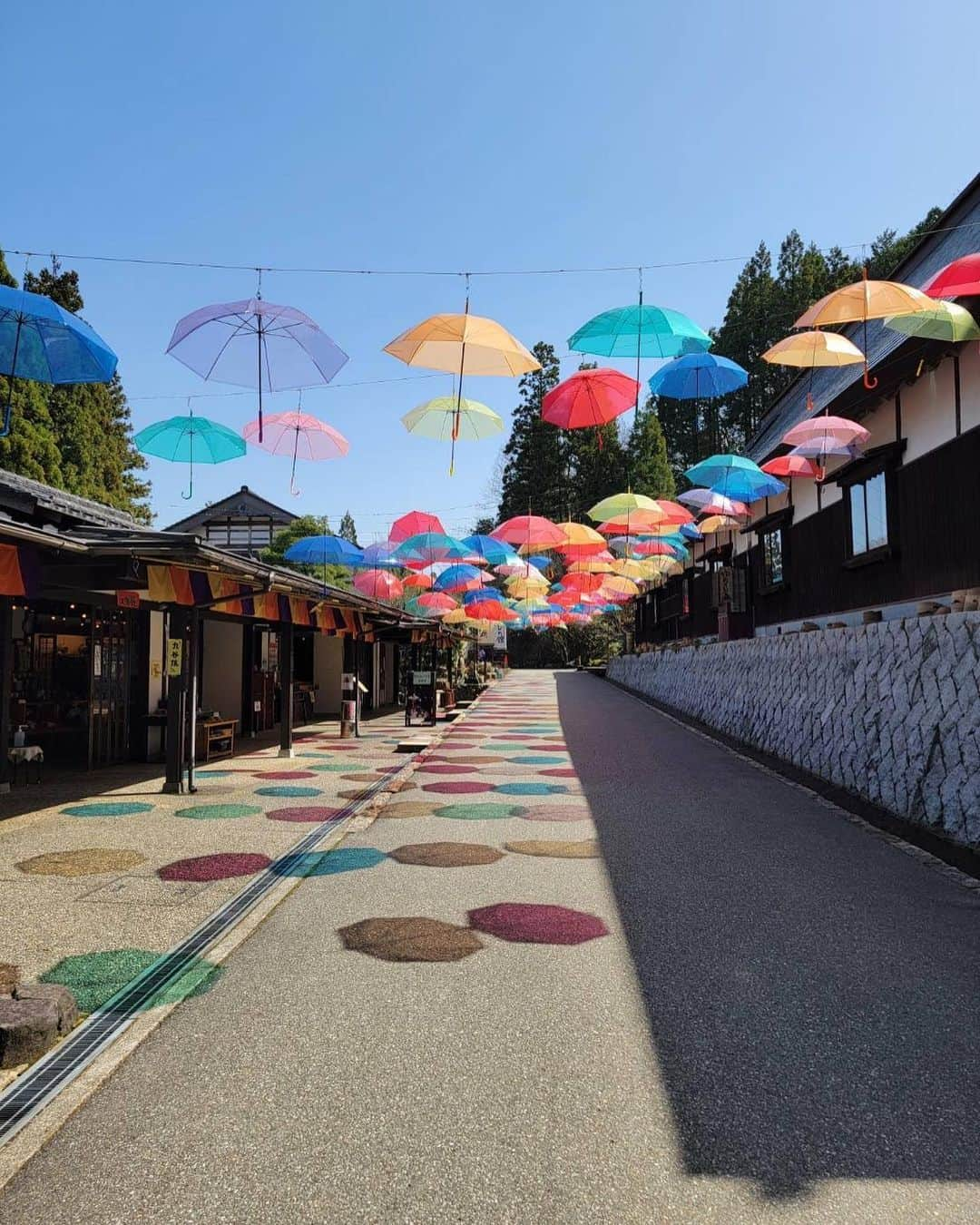 能見篤史のインスタグラム：「私事の続きですが、石川県の加賀伝統工芸村ゆのくにの森に行って来ました✋  色とりどりの傘が沢山あり、風に揺られて凄くカラフルでした😊  金粉のソフトクリームが気になったので食べてみました🍦  機会がありましたら寄ってみて下さい🙇🏻 #石川県 #加賀伝統工芸村ゆのくにの森  #傘 #カラフル #金粉ソフトクリーム」