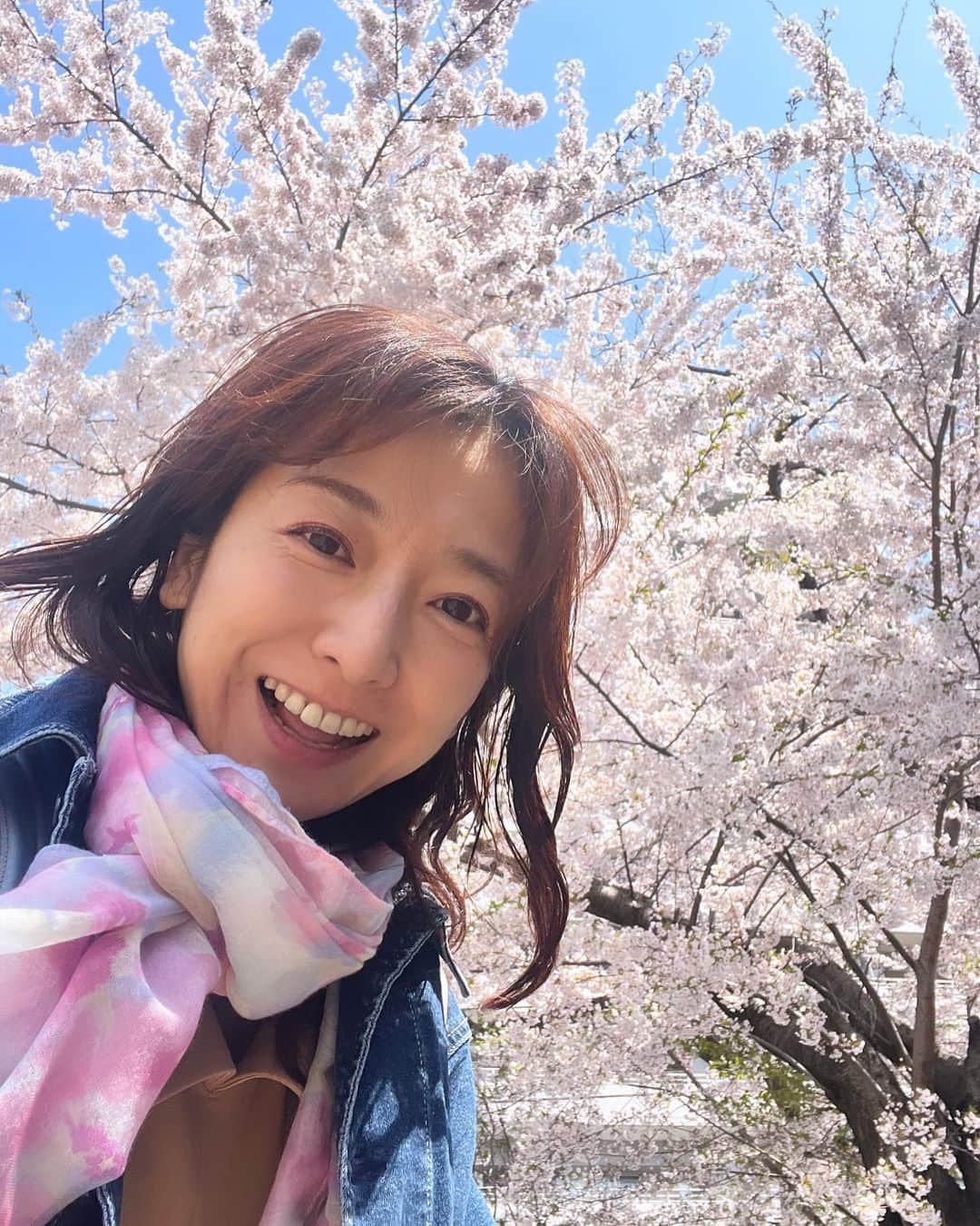 佐藤彩さんのインスタグラム写真 - (佐藤彩Instagram)「今日の番組では桜前線は今どのあたりか探りました🌸  旭川では今日開花の発表がありましたが 滝川や砂川はまだという感じ。  帯広や日高のあたりも咲いているけれど 苫小牧はまだ、とか…  皆さんからのメッセージで 少し見えてきた桜前線🌸  天気図の前線のように くっきりラインが引けるわけではないようです😳  札幌は満開🌸 新川通りを車で通ったらとても綺麗でした☺️ 写真は帰り道にあるお気に入りの桜の木です🌸  #桜前線北上中 #朝刊さくらい #桜前線調査 #ソメイヨシノ #お気に入りの桜の木 # 🌸」4月25日 18時40分 - hbc_ayasato