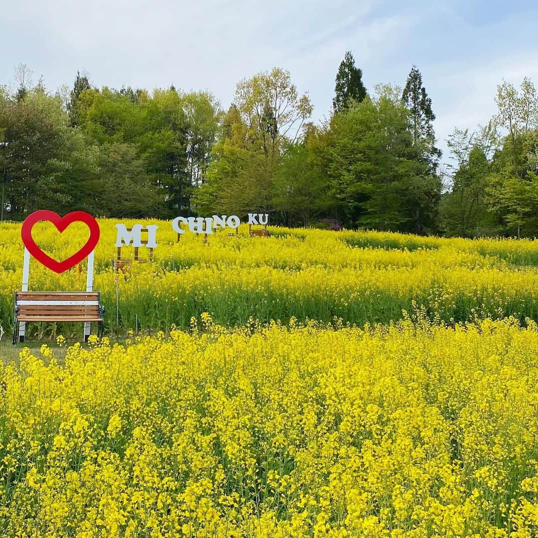 bon ponさんのインスタグラム写真 - (bon ponInstagram)「桜の季節が過ぎて、チューリップと菜の花が見頃を迎えたみちのく杜の湖畔公園へ出かけてきました🌷🌷🌷🌼🌼🌼  「彩のひろば」には、色とりどりのチューリップが咲き誇っていました。形や色も様々で、珍しい八重のチューリップもありました。 パンジーや芝桜との共演も見事で、目を楽しませてくれました😍😍 遠くに見える残雪の蔵王連峰がとても美しかったです🏔️  チューリップを愛でたあとは、広い園内を歩いて「だんだん畑」へ。 秋には真っ赤なコキアが楽しめる畑が、今は満開の菜の花で埋め尽くされて、黄色い絨毯が広がっていました💛😍😍  芽吹いたばかりの新緑が瑞々しく、まさに百花繚乱のこの季節が大好きです🌸🌼🌷🪻🌿 ＊ ピンクとデニムのコーデ🩷💙 bon ・スウェット(楽天) ・シャツ(Sunny Clouds × bonpon) ・ジーンズ(UNIQLO) pon ・カーディガン(UNIQLO) ・ブラウス(UNIQLO) ・デニムスカート(楽天) ・トートバッグ(FABRICO) ponのピンクのカーディガンに合わせて、楽天でbonにピンクのスウェットを買いました。 ＊ ＊ #みちのく杜の湖畔公園 #みちのく湖畔公園 #夫婦 #60代 #ファッション #コーディネート #リンクコーデ #夫婦コーデ #グレイヘア #白髪 #共白髪 #couple #over60 #fashion #coordinate #instagramjapan #greyhair #grayhair #bonpon #bonpon511」4月25日 19時28分 - bonpon511