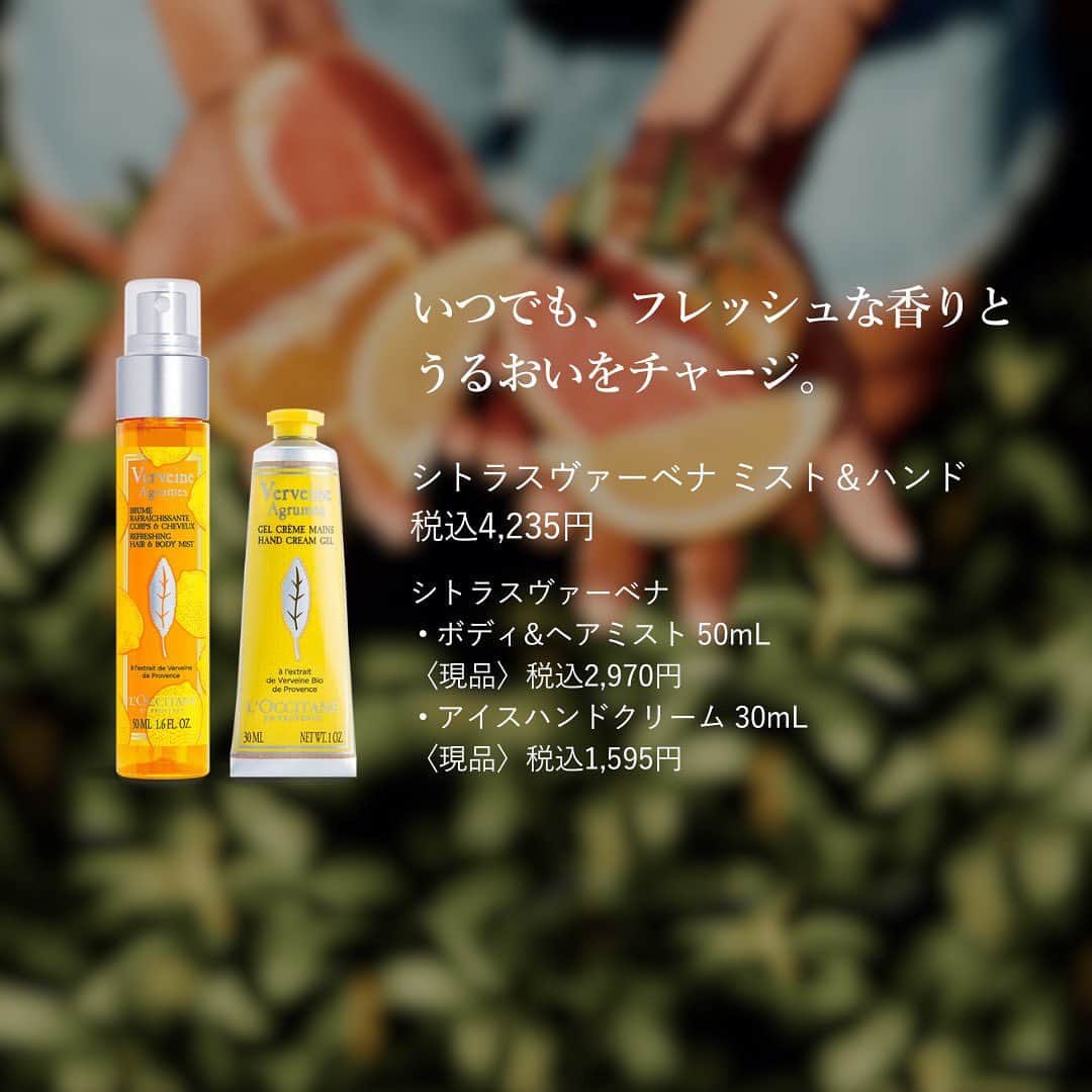 L'OCCITANE en Provenceさんのインスタグラム写真 - (L'OCCITANE en ProvenceInstagram)「＼爽やかな香りを持ち歩こう🍃🍊／みずみずしくフレッシュなシトラスヴァーベナの香りを持ってリフレッシュ！  4/19(水)より数量限定発売の #シトラスヴァーベナ シリーズ 。  これからの季節にかけて、 ひんやりとした清涼成分が入った ポーチインアイテムもおすすめです🍃  持ち運びにぴったりなサイズなので、 ポーチやバッグに忍ばせて いつでも爽やかな香りとうるおいで リフレッシュしましょう！  ╭━━━━━━━━━━━━╮  　新しい香り、 　#シトラスヴァーベナ 🍃🍊  ╰━ｖ━━━━━━━━━━╯  「ひんやりアイテムも気になる！」 という方は【🍃】か【🍊】の絵文字を使って コメントから教えてください💬  ┈┈┈┈┈┈┈┈┈┈┈┈┈┈┈┈┈┈  ◤シトラスヴァーベナ アイスハンドクリーム  　清涼感のあるうるおいで、すべすべ、 　なめらかな手肌に導くハンドクリーム✋ 　さらっとしたつけ心地なのにしっとり保湿します。 　ひんやり成分(*)配合で、 　すっと肌になじむジェルテクスチャーです。  ◤シトラスヴァーベナ ボディ&ヘアミスト  　髪に、ボディに。 　軽やかなうるおいを補給します。 　ひんやり成分(*)配合で、 　暑い日にもシュッとひと吹き。 　お出かけ先でもリフレッシュ👌  ┈┈┈┈┈┈┈┈┈┈┈┈┈┈┈┈┈┈  新しい香りで、夏を楽しむ準備を始めましょう！  (*)エタノール  #ロクシタン #loccitane #ロクシタンのある生活 #ポーチの中身 #ポーチの中身紹介 #whatsinmybag #バッグの中身 #バックの中身 #持ち歩きコスメ #持ち歩き #持ち歩きポーチ #QOL向上 #シトラスの香りが好き #持ち歩きコスメ #ミニサイズ #携帯サイズ #シャワージェル #ていねいな暮らし #暮らしを整える #ボディスプレー #シトラス好き #爽やかな香り #ミニ香水 #香水好き #香水好きな人と繋がりたい #香りのある暮らし」4月25日 19時31分 - loccitane_jp
