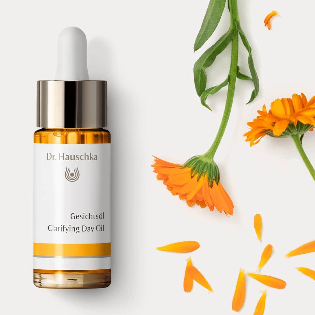 Dr. Hauschka Japan ドクターハウシュカのインスタグラム