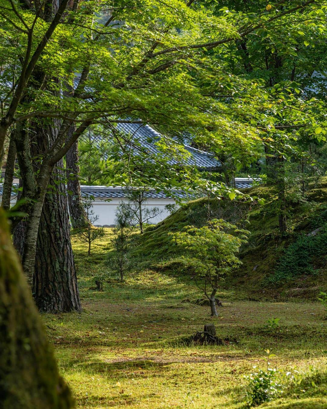 THE WESTIN KYOTO ウェスティン都ホテル京都さんのインスタグラム写真 - (THE WESTIN KYOTO ウェスティン都ホテル京都Instagram)「朝の南禅寺。 早朝の澄み切った空気とこの季節は新緑がまぶしく、心と体をリセットしてくれる空間です。 朝食前にぜひ足を運んでみてください。   Nanzenji Temple in the morning. The clear early morning air and the dazzling fresh greenery in this season will reset your mind and body. Please visit before breakfast.   @westinmiyakokyoto #朝の散歩 #早朝散歩　#散歩コース #南禅寺 #京都観光　#新緑  #水路閣　#インクライン #nanzenji  #travelkyoto #kyototrip #kyotojapan #wellness #wellbeing #westin  #marriottbonvoymoment #ウェスティン都ホテル京都　#westinmiyakokyoto」4月25日 20時21分 - westinmiyakokyoto