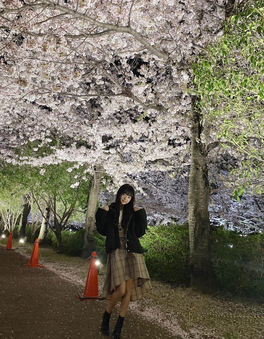 流石夏恋さんのインスタグラム写真 - (流石夏恋Instagram)「🌸☪︎  #夜桜 💓  かなり #時差スタグラム ですが 4年ぶりにライトアップの夜桜😻🌸🔦  キレイすぎて心が癒されたよ‪‪🫶🏻💕 すぐに散っちゃう儚いお花だけど 咲いてる間は、いっちばんキレイに 見る人みんなを癒して幸せにしてくれる✨  毎年ありがとうのキモチ𓂃🌸𓈒𓏸 来年もまたこの場所で見れますように💓   #夜桜ライトアップ #山梨 #山梨県 #jc2   #山梨の桜 #yamanashi_japan #13歳   #日本の風景 #桜スポット #夜桜2023🌸」4月25日 20時13分 - karen_ymcitron