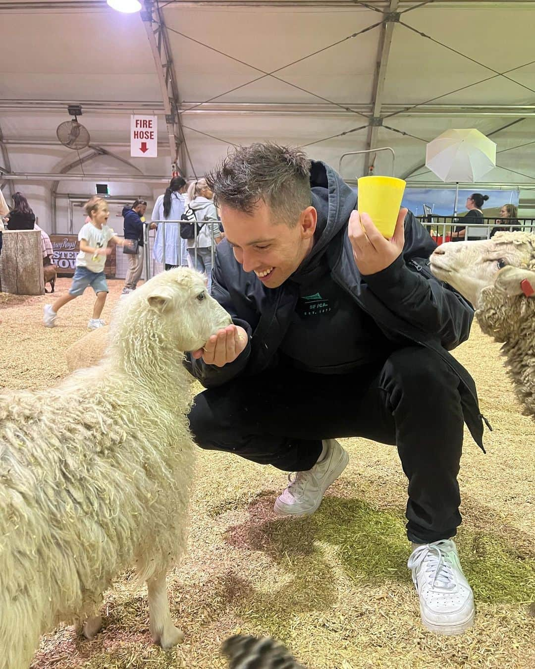 アンドリュー・ドッズのインスタグラム：「Baa #sheep」