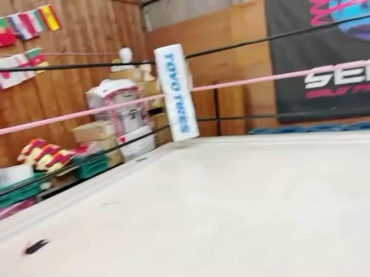 のインスタグラム：「女子プロレスラー @dashchisako が  #WBC で初めて野球⚾️の魅力にハマり…  #村上宗隆 選手 @ys_munetaka55 を見に行くために  #神宮球場  に #東京ヤクルトスワローズ を応援に行く‼️です。  まずはグッズからということで  #swallows グッズ開封動画🐦♥️   プロレス(試合)の時一切笑わんのに凄い笑顔w  #さあ行こうか #チームスワローズ #村神様  #村上様 #仙女  #SENJO」