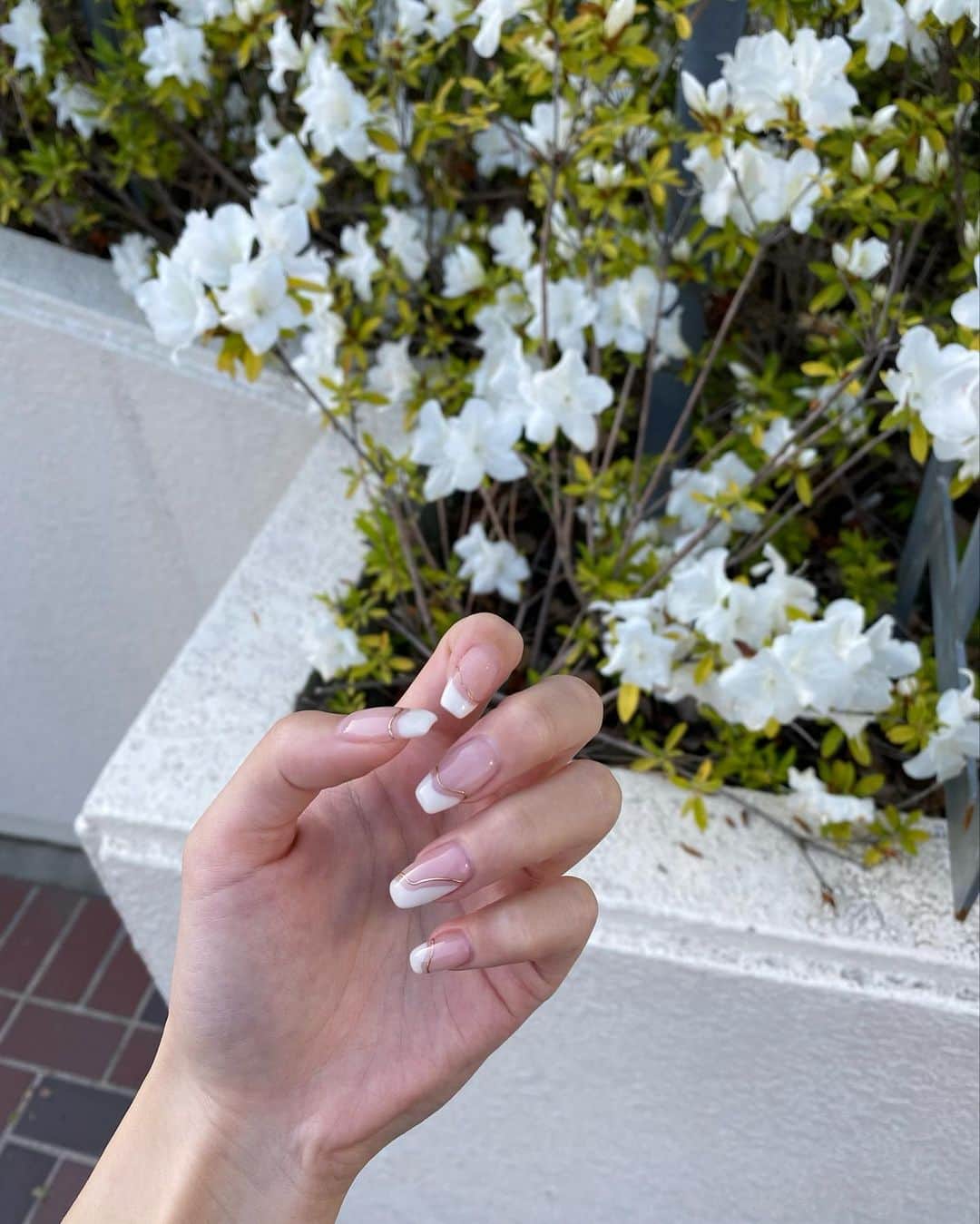 YUKIKOさんのインスタグラム写真 - (YUKIKOInstagram)「. new nails🤍 欲張りなのでアシンメトリー🫶🏻 毎度可愛く仕上げてくれてありがとうございます🩵 @moonlit_airi   #春ネイル #フレンチネイル #ホワイトネイル #nails」4月25日 20時30分 - 128yukinco