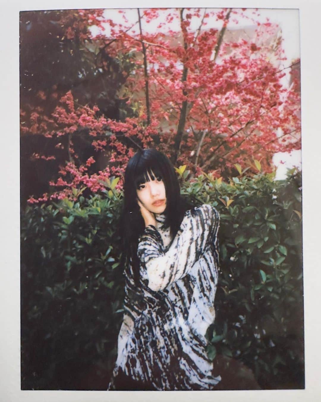 奥田彩友さんのインスタグラム写真 - (奥田彩友Instagram)「polaroid✩.*˚」4月25日 20時47分 - okudaayu