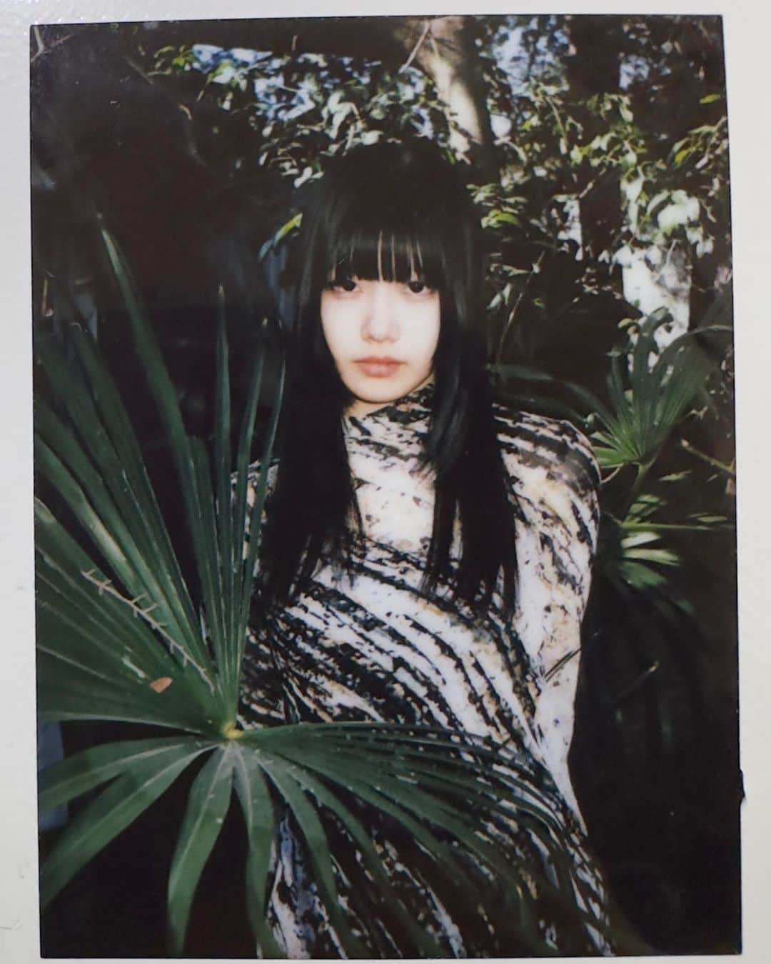 奥田彩友のインスタグラム：「polaroid✩.*˚」
