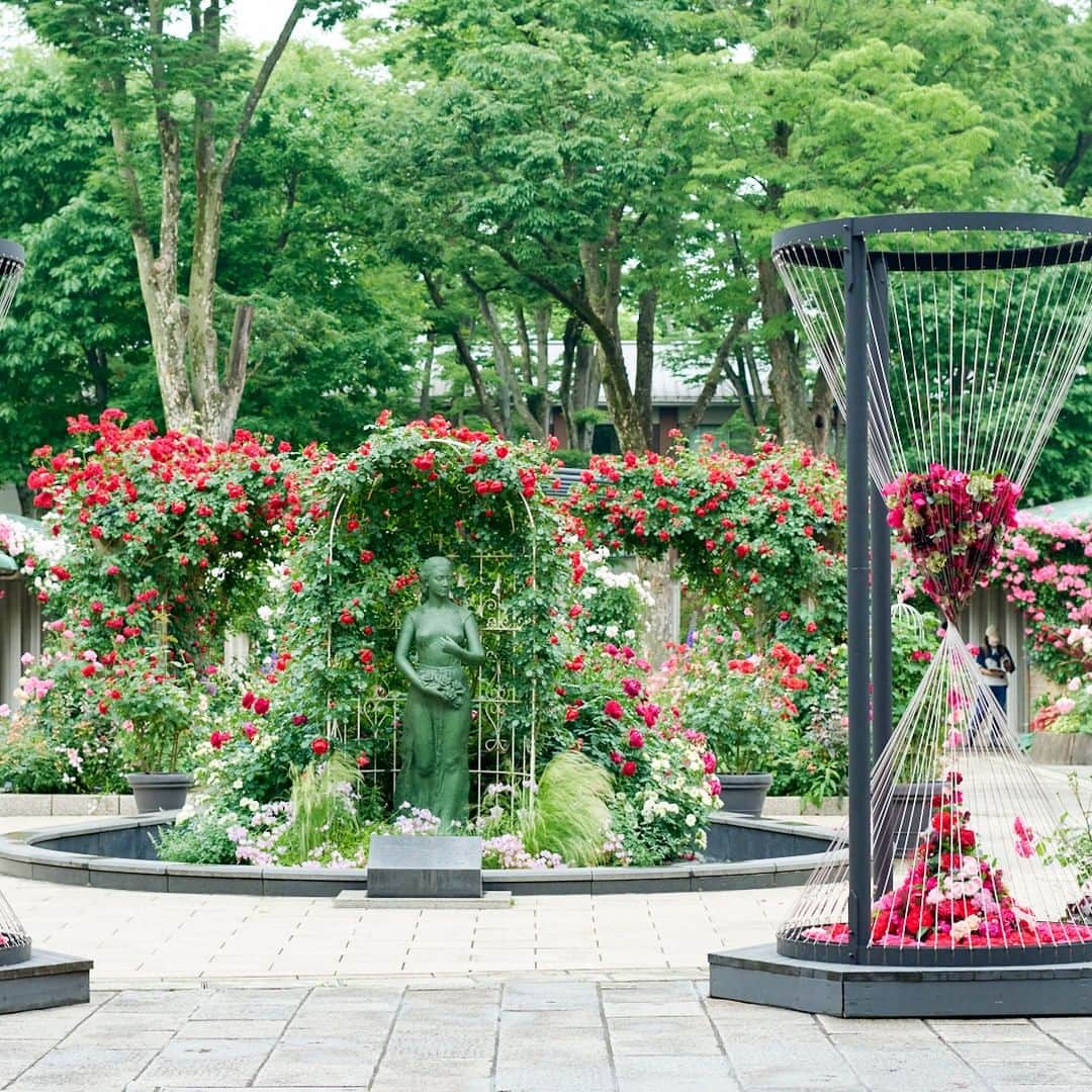 手紙社さんのインスタグラム写真 - (手紙社Instagram)「【「ローズフェスタ」でマルシェを開催します！（5/13-14・20-21）】 今年5月、バラが最盛期を迎えるこのシーズンに東京競馬場で「ローズフェスタ」を開催します！　ガーデン内の植物を使用したワークショップやプレゼントがもらえるスタンプラリー、馬との記念写真が撮影できるフォトスポットなど...。たくさんのお楽しみ企画をご用意しております。さらに、花や雑貨を集めたマルシェの開催も！　競馬好きの方に喜んでいただけるような馬モチーフのアイテムや、ボタニカルにまつわる雑貨が並ぶ予定です。ぜひお楽しみに！　  ▼出店者の情報はこちら ＜5月13日-14日＞ ・DRY FLOWER : f3（@dryflower.f3） ・Tiny N（@hanaikeshi） ・手紙舎雑貨店  ＜5月20日-21日＞ ・Lucy Gray（@lucygray6565） ・krone（@krone_kamakura） ・手紙舎雑貨店  詳しくは▶︎「手紙社公式webサイト」ニュース＆トピックス内「東京競馬場で『ローズフェスタ』を開催します！」へ  【「ローズフェスタ」開催概要】 日程：2023年5月13日（土）、14日（日）、20日（土）、21日（日） 時間：9:00-17:00 会場：JRA東京競馬場 ローズガーデン周辺 主催：JRA東京競馬場 制作・運営：手紙社 ＊東京競馬場入場にはお一人様200円かかります ＊14日（日）、21日（日）は入場料が500円になります（15歳未満は無料）  #手紙社 #手紙舎 #tegamisha #rosefesta #ローズフェスタ #rose #バラ #東京競馬場 #ローズガーデン #マルシェ #馬 #ドライフラワー #雑貨 #北欧雑貨」4月25日 20時58分 - tegamisha