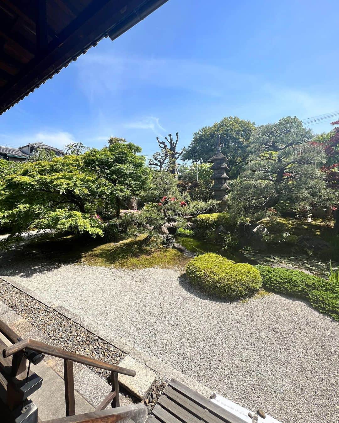 蘭乃はなさんのインスタグラム写真 - (蘭乃はなInstagram)「#京都ひとり旅   週末に京都に行ってきました！ 今回の大きな目的の一つは、建仁寺の中の「正伝永源院」（しょうでんえいげんいん）に訪れること。  今回は、京都駅から建仁寺まで、鴨川沿いを、ゆっくり1時間くらい散歩して行きました。 まだ暑くなくて気持ちよかったです☺︎  正伝永源院は、京都五山・建仁寺の塔頭寺院の一つ。 鎌倉時代に創建された「正伝院」。 「正伝院」は織田信長の弟・織田有楽斎によって再興された寺院。  国宝の茶室「如庵」を復元したお茶室が庭園にあります。 国宝指定されている如庵は愛知県犬山市の日本庭園「有楽苑」に移築されているそうです。  南北朝時代に創建された「永源庵」。 中世から細川家の菩提寺で、江戸時代から残る現在の客殿・方丈（京都府の指定文化財）は細川三斎（忠興）により再建されたものだそうです。  二つの寺院が合併して「正伝永源院」となったそうです。  美しいお庭では、ツツジやモミジを見ることができ、小一時間ボーッと過ごしていました。  春（4月〜5月）と秋（11月〜12月）にしか公開されないので、もしタイミングが合えば、皆さんもぜひ癒されに訪れてください☺︎  @shodeneigenin」4月25日 21時06分 - rannohana_official