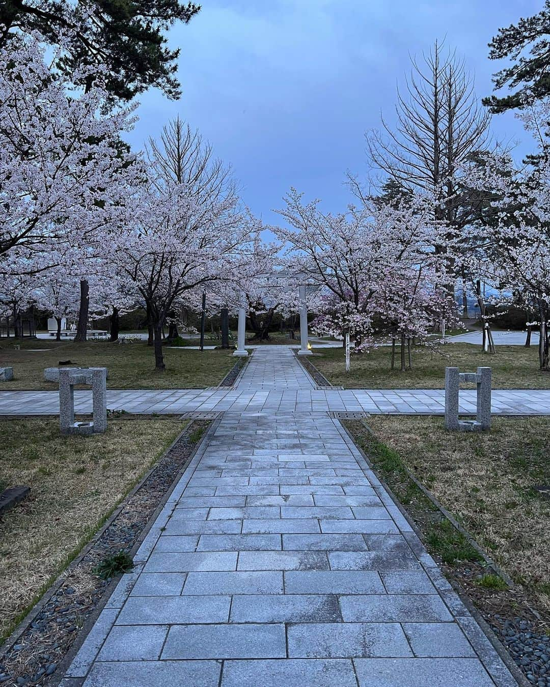 相場詩織さんのインスタグラム写真 - (相場詩織Instagram)「⁡ ⁡ 桜が大好きなので あと少しだけ余韻に浸らせて下さい🌸 ⁡ 1枚目は仙北市角館の武家屋敷です♡ 武家屋敷に来ると街並みの雰囲気に合わせて どうしても和装に身を包みたくなります😌 この日は晴天ではなく、時折小雨が降る花曇りだったため その場がパッと華やぐような色のお着物を ご用意していただきました✨ 枝垂れ桜と調和するようなあたたかな色味を 選んでいただき、海外の方からも好評でした☺️  着付け＆衣装協力→しゃなりさん ⁡ ⁡ 2枚目以降は本荘公園の桜です♡ 由利本荘市に行ったら必ず寄ってしまうほど 大好きなカフェミクラマチパーラーさんの ベリーベリースムージー🍓 親友とのお花見は桜色のニットに ピンクのコンバースを合わせて 完全に浮かれていました🤭笑  #東北 #秋田 #角館 #武家屋敷 #東北旅行 #秋田旅行 #秋田観光 #お花見 #お花見スポット #絶景 #桜 #お花見コーデ #着物 #着物コーデ #着物ヘア #帯　 #着物レンタル #着物ヘアアレンジ #大人和装 #akita #kakunodate #cherryblossoms  #벚꽃　#벚꽃축제　#벚꽃놀이」4月25日 21時11分 - shioriaiba0801