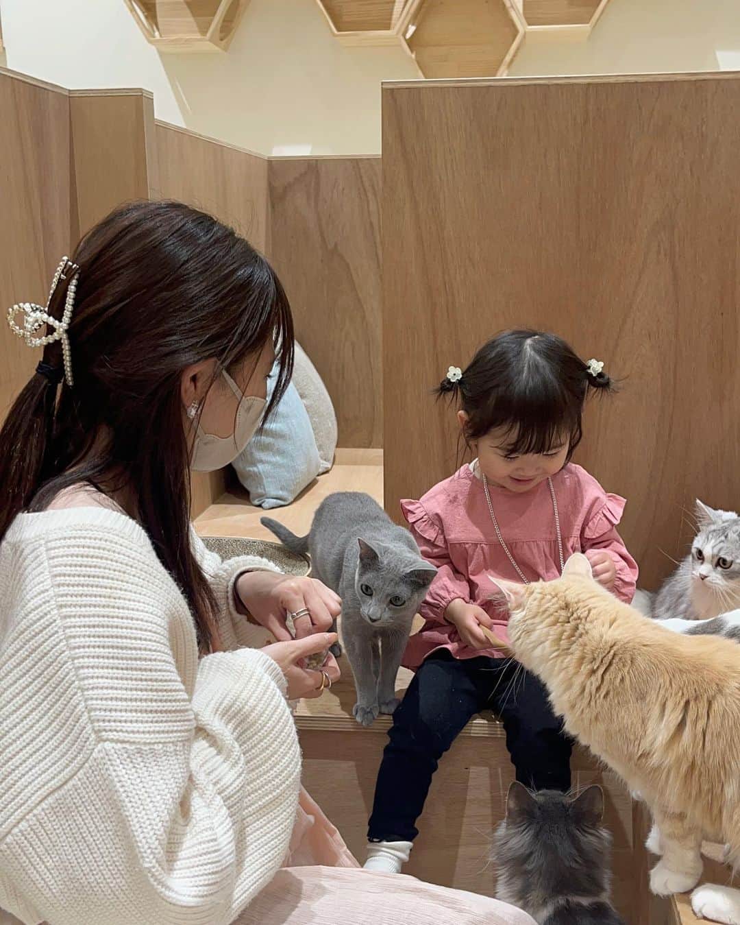 はやめいのインスタグラム