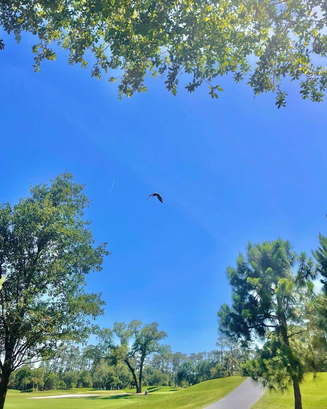 チョン・ジユさんのインスタグラム写真 - (チョン・ジユInstagram)「나 자신을 너무 잘 알게 하는 TPC 🥹 #연습을열심히합시다」4月26日 3時07分 - xjiyux