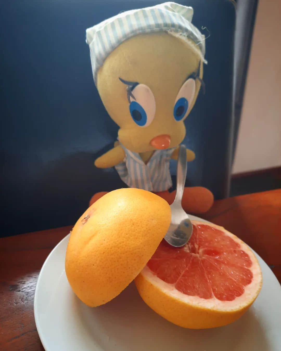 Little Yellow Birdさんのインスタグラム写真 - (Little Yellow BirdInstagram)「With spring still very far away, I think I should eat more vitamins...so a very healthy #honeygroveteapartytuesday this week: pink grapefruit! #littleyellowbird #tweety #tweetykweelapis #adventures #yellow #bird #tuesday #fruit #grapefruit #pinkgrapefruit #healthy #vitamientjes #vitamins #stuffedanimalsofinstagram #plushiesofinstagram」4月25日 21時42分 - tweetykweelapis