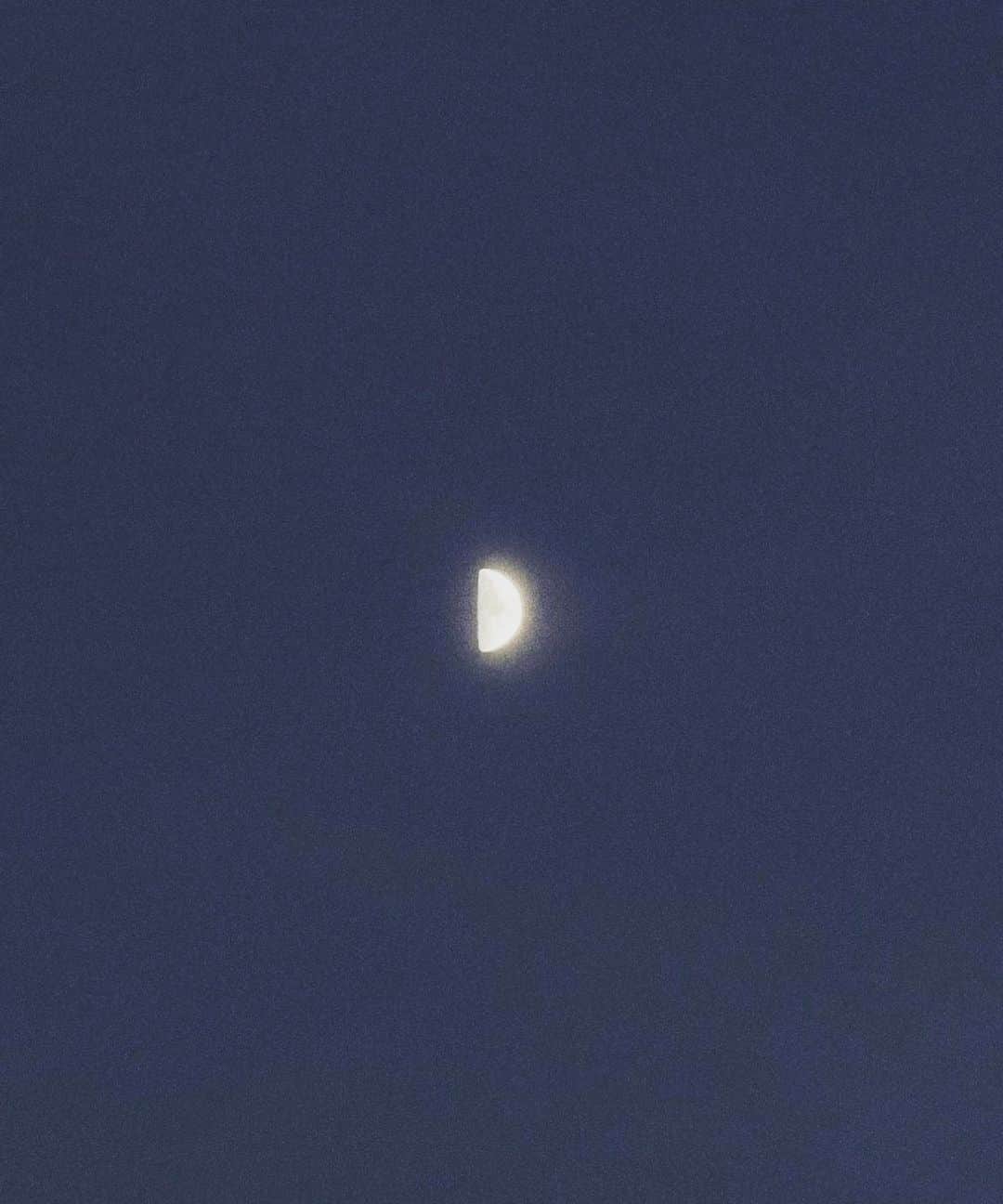 チン・ジェヨンのインスタグラム：「. Dream🌙  다신꾸지못하는 너무 기분좋은꿈 나는 니가 꼭 그런거같은데  #진재영_제주지엔느」