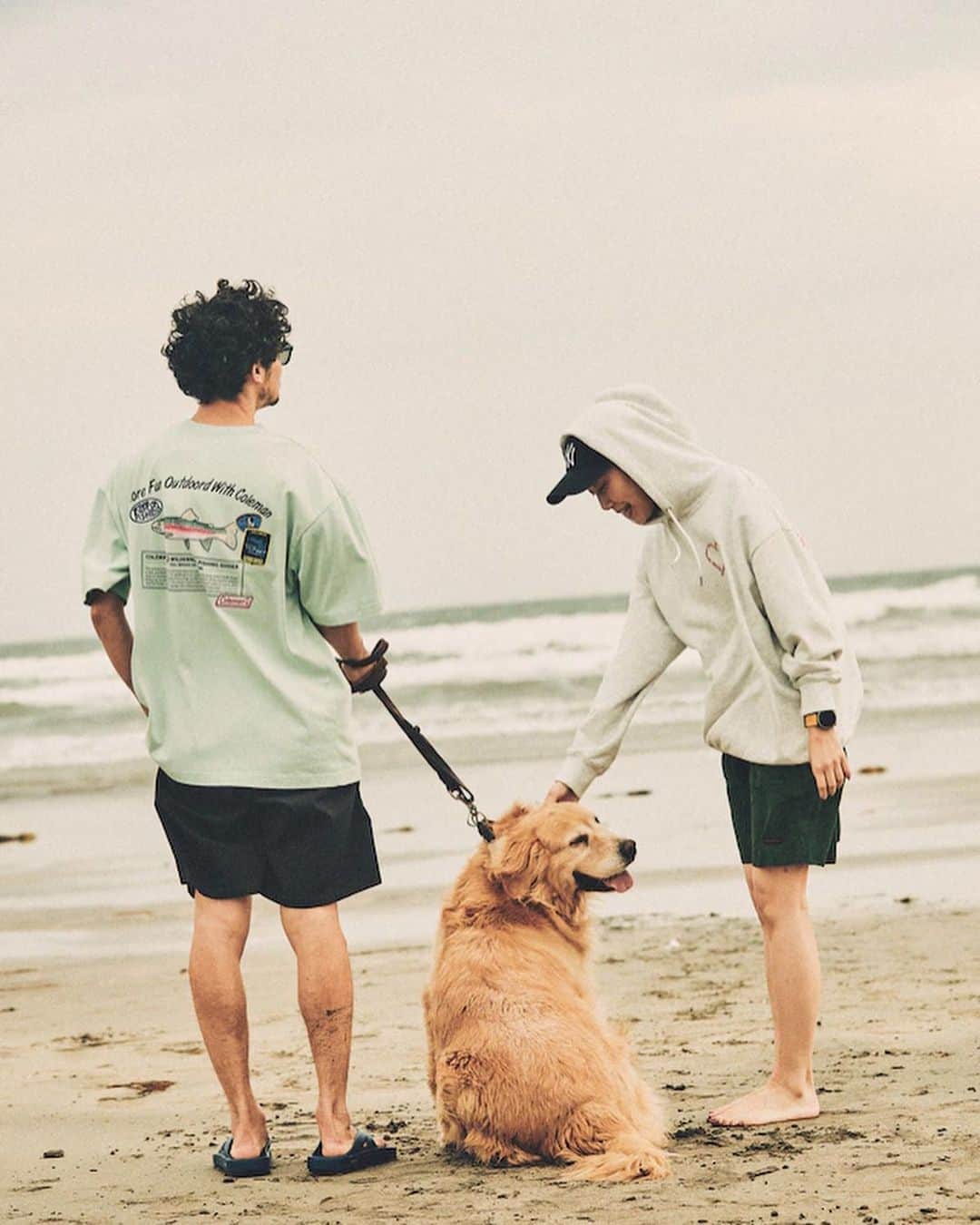 春日潤也さんのインスタグラム写真 - (春日潤也Instagram)「@freaksstore_official  街から車でCAMP🏕行って帰りに海🌊で散歩なんて最高な組み合わせな休日の過ごし方🌲⛺️🌲しちゃいました😁 是非覗いてみてね！  #freaksstore  #camping  #sea  #dog」4月25日 22時12分 - junya_kasuga