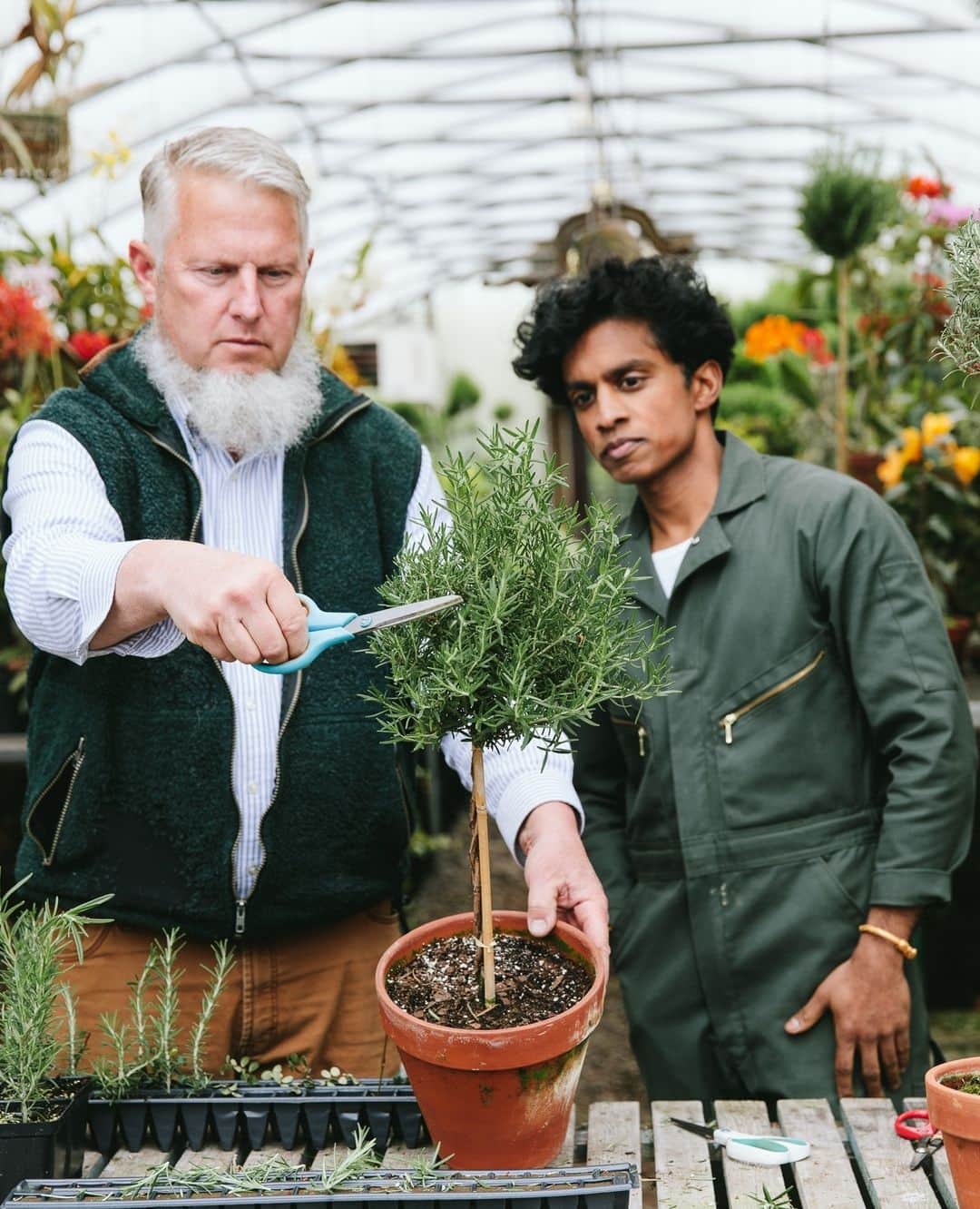 HGTVさんのインスタグラム写真 - (HGTVInstagram)「✨The Art of Making Topiaries ✨⁠ ⁠ Rajiv Surendra (@rajivsurendra) tours Atlock Farm (@atlockfarm) with owner and topiary master Ken Selody, former Martha Stewart contributing editor, and learns just what it takes to create a thriving topiary, from propagation to tailored trimming. 🪴⁠ ⁠ Head to 👉️ #linkinbio for expert tips and a step-by-step guide. #HGTVOutdoors⁠ ⁠ 📸: @christineshoots」4月25日 22時21分 - hgtv