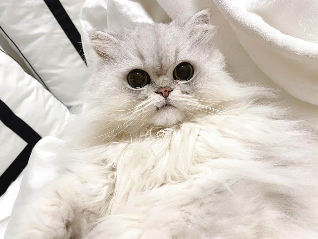 hanachan.officialのインスタグラム