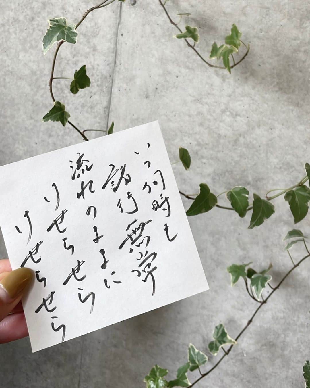 のインスタグラム：「🧘🌿  いつ何時も  諸行無常  流れのままに  けせらせら  けせらせら  😌🫶🌱」