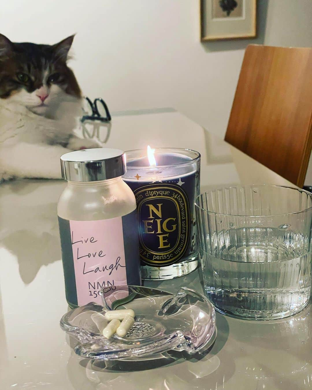 大草直子さんのインスタグラム写真 - (大草直子Instagram)「ふみふみ、ふみふみ🐈🐈🐈🐈  今朝6時に帰国、🐈を迎えに実家へ。その後、帰宅。原稿を書いて、荷解き。思い立ってクローゼットを断捨離して、マッサージ😎ごはんを作って、洗濯して、NMN飲んで。☜今ここ。  我ながら元気だな、と思う。きれい、は健康、安定だな、とも。今日 @amarclifestore で発売スタートした「Live Love Laugh NMN15000mg」😎😎サンプルをここ１年毎日、旅先でも摂り続け、さまざまな変化が起きました。ベイビーヘアが生え、白髪が気にならなくなり、二日酔いや朝の起きづらさを心配しなくなりました。NMNを15000mg含有、５月25日までは36,720円。健やかな土台があればこそ、おしゃれを楽しんだり、旅したり仕事を全力で。さらに、美味しく食べて飲んだりできるな、と実感しています。国内生産、更年期に働きかける成分も含んでいます。さまざまなNMNをトライし、はっきりとした違いを体験できるのは、このくらい含有量がないと！  さ、明日も原稿書き。Oyasumiオイルセラムで、デコルテや肩甲骨までマッサージして寝ます💤💤  Oyasumi🌙 @amarclifestore  #もちろん今回の旅にも #もっていきました #周りの同世代の友人たちに #試してもらいましたが #みんなに #早く販売スタートして #と言われました #髪がやせた #朝が起きづらい #寝づらい #体が重い #代謝がおちた などなど」4月25日 23時33分 - naokookusa