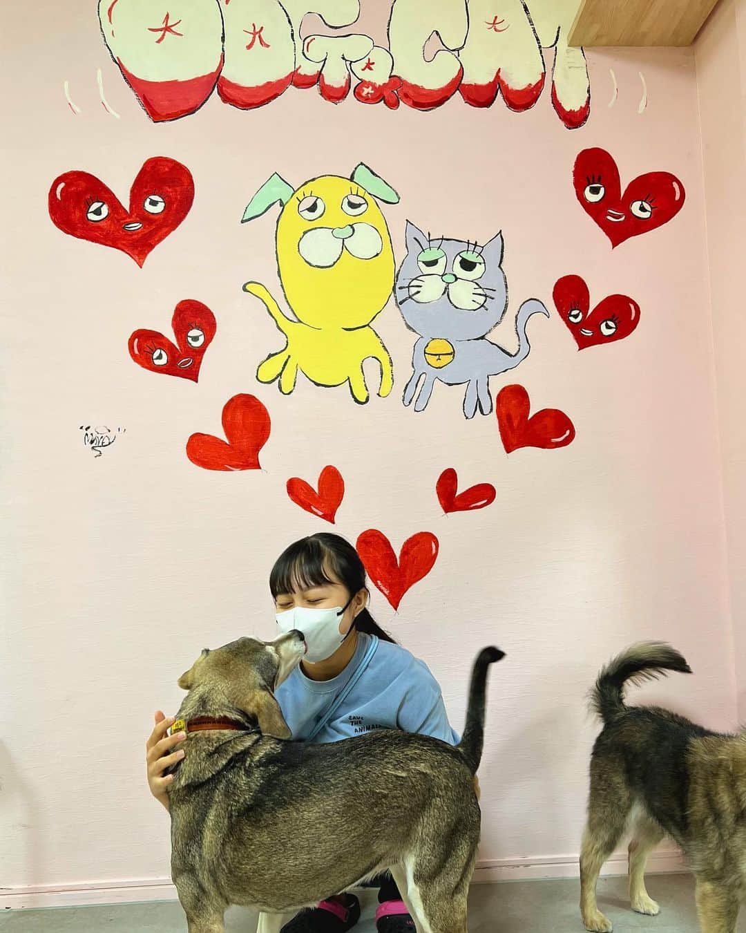 eiko kagamiさんのインスタグラム写真 - (eiko kagamiInstagram)「娘がボランティアでお世話になっている 保護犬猫シェルター @rescue_dog_cat  さん  今日は私もおじゃまさせて頂きました！  とにかく良い子で可愛い子ちゃんたちがいっぱいの シェルターは美帆さんの愛で溢れていました🥺✨  みんなみんな、本当に可愛い🥲💓 是非沢山の方に会ってほしいです！ どうかどうか、ずっとの家族が見つかりますように。 譲度会も定期的に開催されています！♡  前回投稿もさせて頂いた @wolf__lady__ さんの譲度会も次回は6/10（土）です!!🐕♡♡  娘はすごく貴重な体験をさせて頂いていて、私も今日その姿を 目の当たりにすることができて、本当に良かった。  明るくて優しくてパワフルで本当に素敵な みんなのママ美帆さん♡ 奥で美帆さんの声や足音がするとみんなが整列して 待ってる姿もたまらなく愛おしかったな🥹  ボランティアや譲度会の情報は是非 @rescue_dog_cat さんにて♡  素敵すぎるご縁に感謝です🙏✨ . . . . . . . #里親募集中#保護犬#保護犬を家族に迎えるという選択肢」4月25日 23時43分 - eikooo7