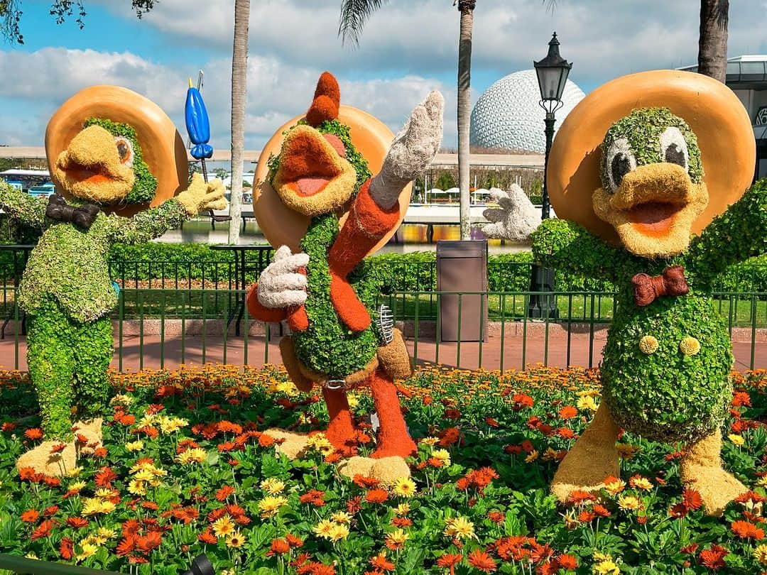 Walt Disney Worldのインスタグラム：「They’re happy amigos! 🎉 Tag your fellow birds of a feather! (📸: @christyleigha)」
