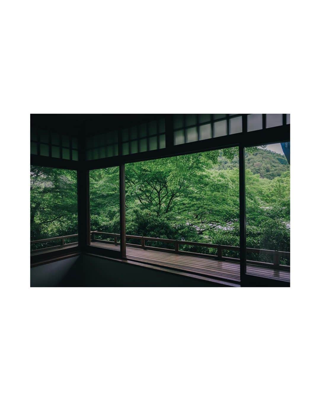 Yuma Takatsukiさんのインスタグラム写真 - (Yuma TakatsukiInstagram)「. . . Kyoto × 🍃 . . . . . . 新緑の季節になってきた。 京都の新緑もけっこう好きなのです。 ⁡ それでは今日もお疲れさまでした。 . Kyoto／Japan Nikon Z5／NIKKOR Z 28-75mm F2.8 . ―――――――――――――――――――――――――― 関西を中心にフリーランスで活動しています。 Web広告、個人撮影、家族撮影、PR撮影など、 5月以降の撮影依頼募集中です。 ⁡ ⁡Yuma Takatsukiオリジナルプリセットも販売中です。 ⁡プロフィールのポートフォリオサイトからご覧下さい。  またフォトサークルITTOKOという活動をしています。 ⁡ハイライトに色んなイベントをまとめています。 ――――――――――――――――――――――――――」4月25日 23時54分 - yu_umaa06