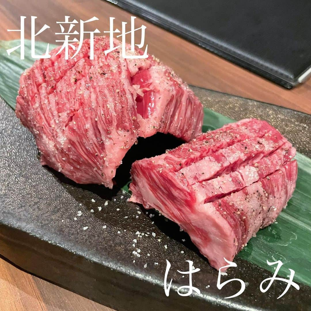 瀬村奈月のインスタグラム：「.【北新地 はらみ/大阪 北新地】🥩 大阪焼肉 #なつを飯大阪編 #北新地 #北新地はらみ  . 先輩に連れて行ってもらった焼肉屋さん𓌉𓇋 ‎🥩 店名通りのハラミ専門店で 店員さんが焼いてくれる 幻のハラミの美味しさったら 言葉にできない🫠🫠🫠🫠  メニュー豊富で 色々食べたけれど、お肉に夢中で お肉の写真3枚と ハラミファイヤー動画しか撮ってない🤣🤣 何より卵かけご飯大好き人間としては、 濃厚卵の卵かけご飯が絶品過ぎて おかわりしたい勢いだった🤤🤤🍚 贅沢な焼肉会でした( 👁‿👁 ) . #北新地はらみ #北新地 #幻のハラミ #なつを飯大阪編」