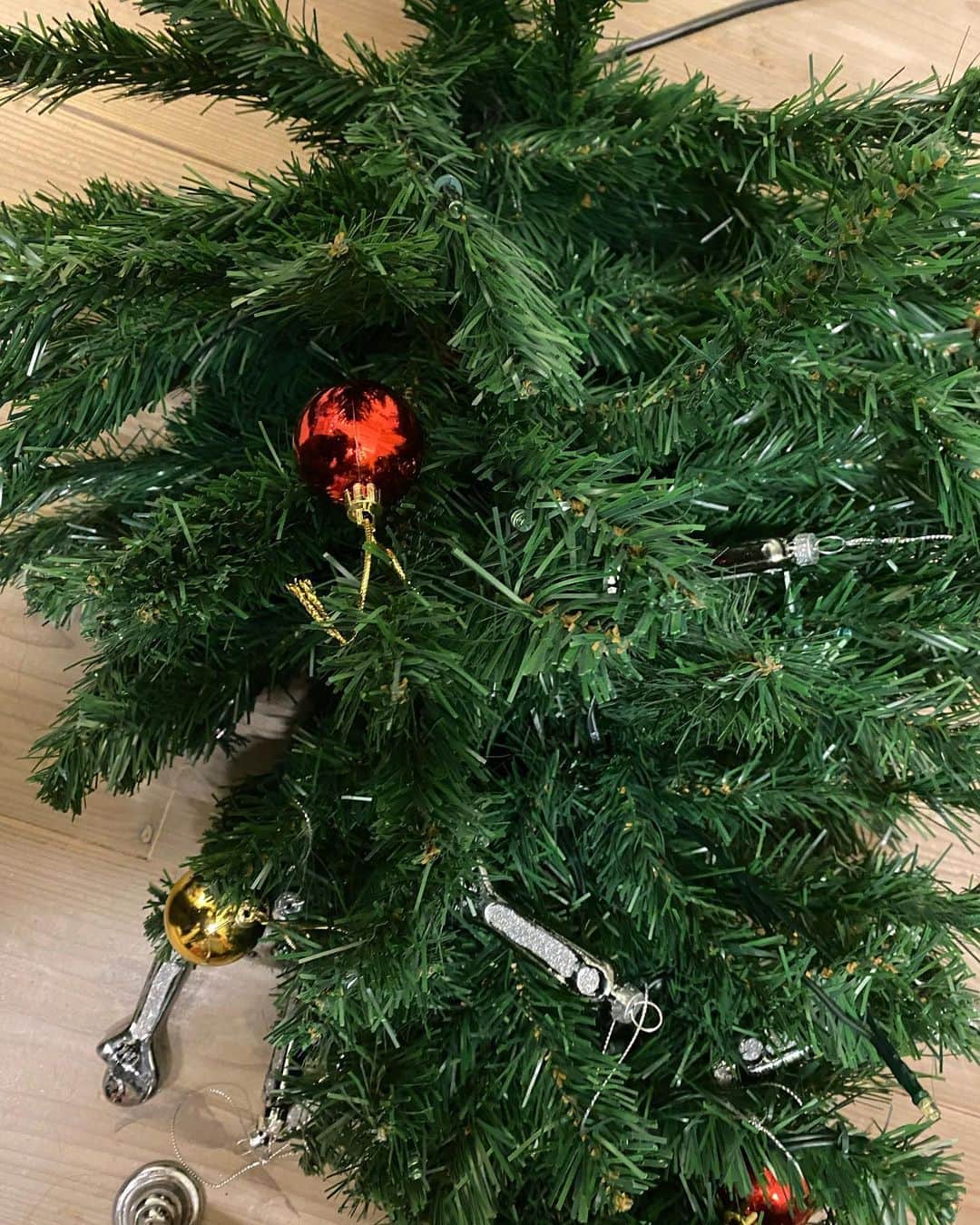 福山理子さんのインスタグラム写真 - (福山理子Instagram)「香音寿は 本当にいたずらっ子です これは、2021年クリスマス。初めて、ツリーと飾りを見て大興奮。買ってきた日に、飾りはガラスで壊れました( ꒪⌓꒪) かわいいらなんでもいいです。健康なら😙  #バイク乗り #工具ツリー #香音寿 #サビ猫ラバーズ  #サビ猫 #サビ猫好きさんと繋がりたい  #保護猫 #保護猫と暮らす #lovelycats  #sabineko #sabicas  #殺処分ゼロを目指して #japanesecats  #さびねこ #甘ったれ猫 #子猫 #赤ちゃん猫 #鼈甲猫 #鼈甲猫はラッキー #クリスマスツリー  2021年12月あけて16日」4月26日 0時36分 - rikofukuyama