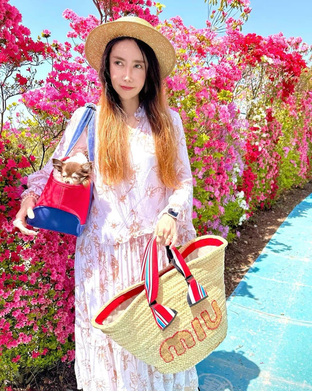 fashion dog loverさんのインスタグラム写真 - (fashion dog loverInstagram)「#flowers 💐💐💐  #beautiful #colorful #fashion #fashionblogger #fashionista #fashionstyle #fashionable #fashiongram #fashionphotography #fashionaddict #fashionlover #fashiontrends #fashioninspo #ootd #ootdfashion #ootdmagazine #outfitoftheday #outfits #outfit #chihuahua #chihuahuasofinstagram #chihuahualove #chihuahualife #ファッション #ファッションコーデ #ファッションスナップ #ファッションコーディネート #コーデ #コーディネート」4月26日 0時47分 - chihuahuanyan