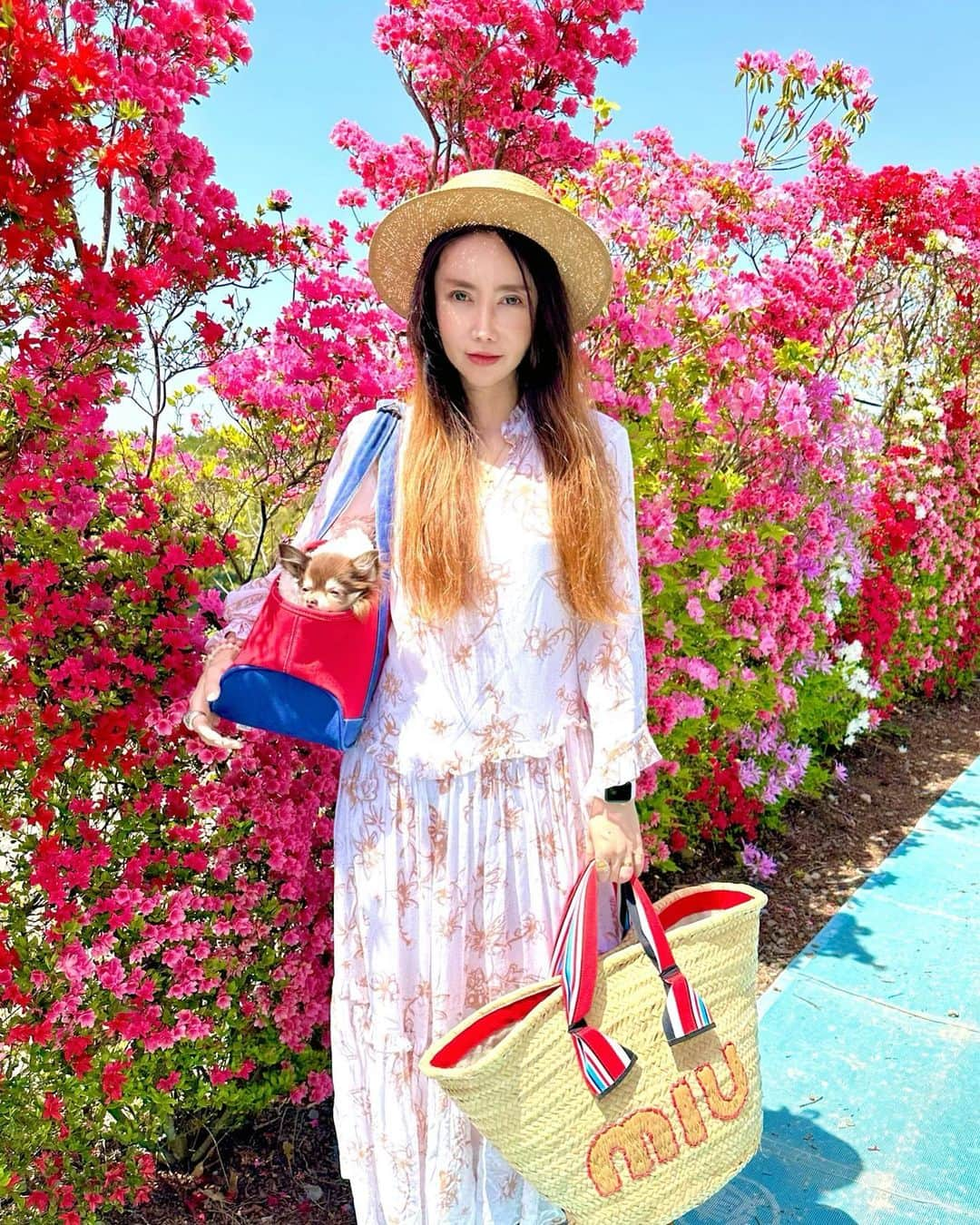 fashion dog loverさんのインスタグラム写真 - (fashion dog loverInstagram)「#flowers 💐💐💐  #beautiful #colorful #fashion #fashionblogger #fashionista #fashionstyle #fashionable #fashiongram #fashionphotography #fashionaddict #fashionlover #fashiontrends #fashioninspo #ootd #ootdfashion #ootdmagazine #outfitoftheday #outfits #outfit #chihuahua #chihuahuasofinstagram #chihuahualove #chihuahualife #ファッション #ファッションコーデ #ファッションスナップ #ファッションコーディネート #コーデ #コーディネート」4月26日 0時47分 - chihuahuanyan