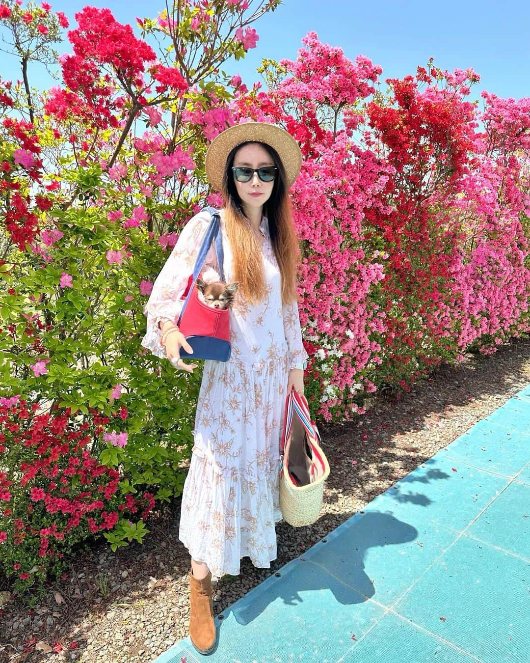 fashion dog loverさんのインスタグラム写真 - (fashion dog loverInstagram)「#flowers 💐💐💐  #beautiful #colorful #fashion #fashionblogger #fashionista #fashionstyle #fashionable #fashiongram #fashionphotography #fashionaddict #fashionlover #fashiontrends #fashioninspo #ootd #ootdfashion #ootdmagazine #outfitoftheday #outfits #outfit #chihuahua #chihuahuasofinstagram #chihuahualove #chihuahualife #ファッション #ファッションコーデ #ファッションスナップ #ファッションコーディネート #コーデ #コーディネート」4月26日 0時47分 - chihuahuanyan