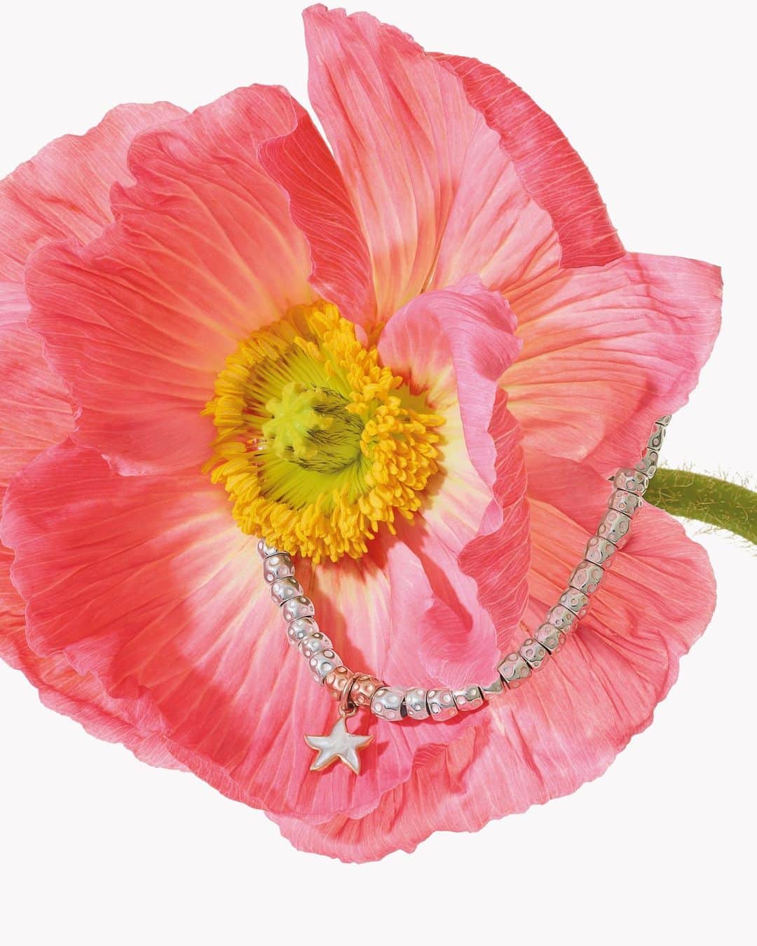 ドドさんのインスタグラム写真 - (ドドInstagram)「A brilliant new bloom of DoDo inspiration: the delicate Stellina charm shines with a mother-of-pearl  enamel effect. ​⁣ ​⁣ #DoDoJewels​⁣ #DoDoGranelli ​⁣ #DoDoStellina」4月26日 1時00分 - dodojewels