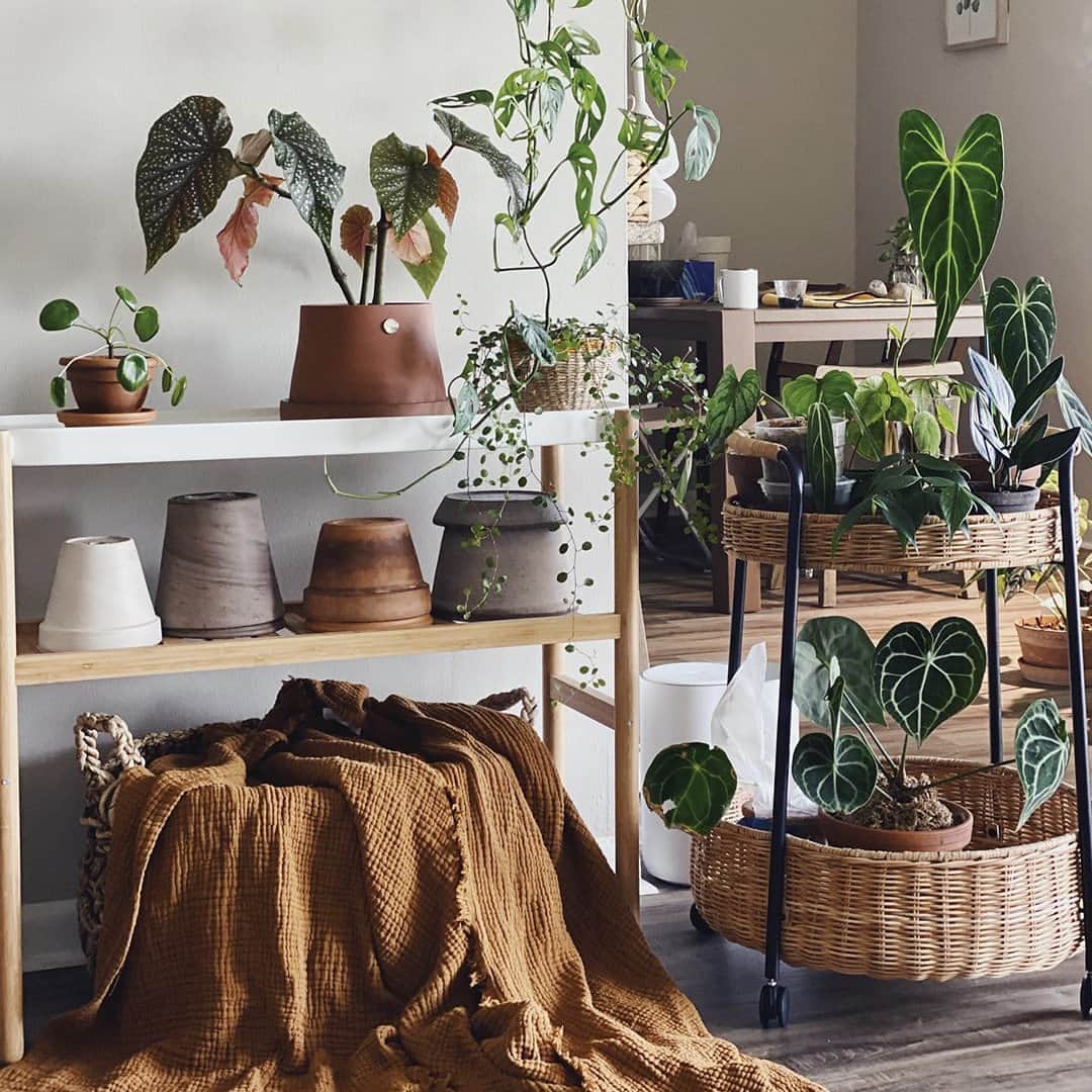 IKEA USAのインスタグラム：「Given your home a seasonal refresh yet? Show us! Add #myIKEAUSA and share a pic of how you’re creating fresh seasonal vibes with IKEA products and we may feature it in an upcoming post. Happy refreshing!  📸: @je.seed & @bybrittanyg"」