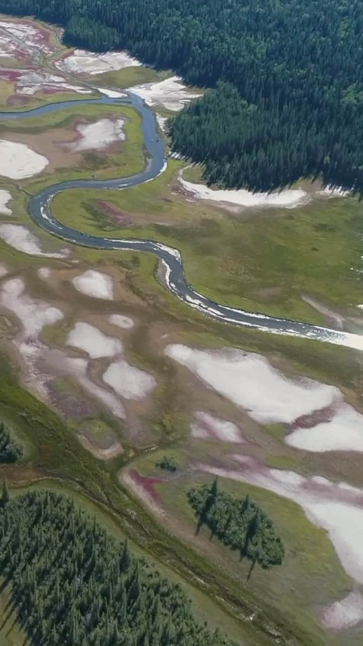 Explore Canadaのインスタグラム：「Located on the Northwest Territories-Alberta border, Fort Smith is the gateway to Wood Buffalo National Park, Canada’s largest national park. The park is also home to some of the best whitewater paddling around, among many other spectacular activities!   📷: @spectacularnwt 📍: @spectacularnwt   #SpectacularNWT   [Video description: A compilation of clips depicting various scenes across the Northwest Territories. Including stunning vistas of waterfalls, river valleys, lakes and aurora, Indigenous drumming and singing, shopping in a store and cafe and bison. Text on screen reads: 48 hours in Fort Smith, NWT. View the stunning scenery. Experience Indigenous culture. Witness the mighty bison. Swim the spectacular lakes. Check out the local stores and cafes. See the world’s best aurora. Walk across the otherworldly salt plains of Wood Buffalo National Park. Spectacular Northwest Territories. SpectacularNWT.com]」
