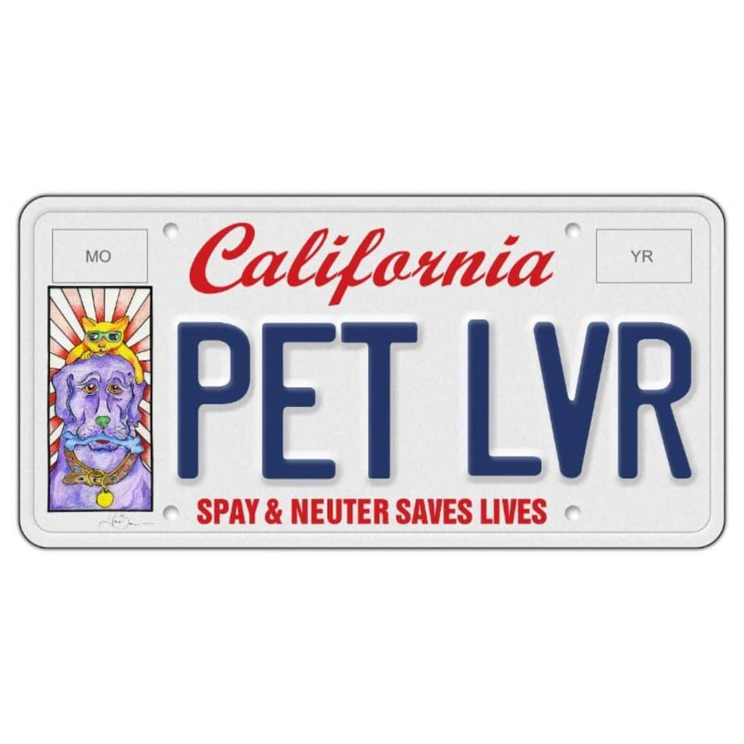 ピアース・ブロスナンのインスタグラム：「It’s National License Plate Day. I had the honor of creating art for a California Pet Lover’s Specialty License Plate, which showcases a painting of my beloved pets Shilo and Angel Baby. This license plate raises funds for free & low cost spay and neuter programs, making a positive impact on animal welfare.  © Pierce Brosnan #piercebrosnanart」