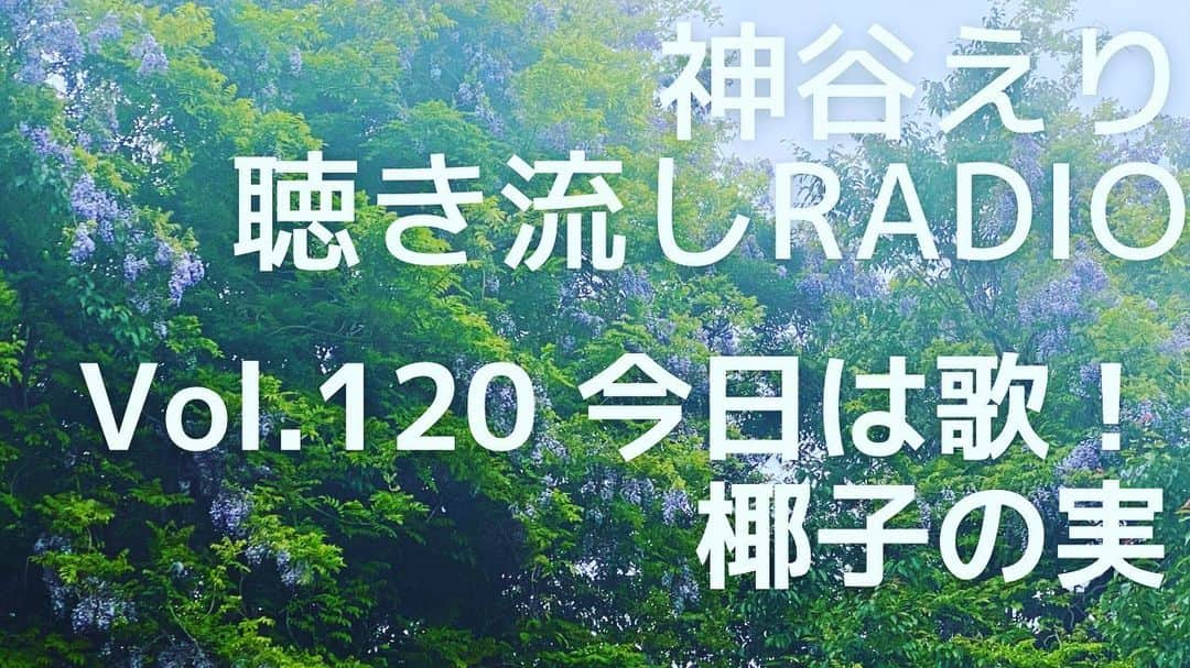 神谷えりさんのインスタグラム写真 - (神谷えりInstagram)「YouTubeに動画をアップしました! ぜひ観て下さい。  https://youtu.be/zW0Zli3WtKA  【聴き流しradio】 vol.120 今日は歌！　椰子の実  #神谷えり, #erikamiya, #jazz, #entertainment, #singer, #歌, #ジャズシンガー,  #talk, #radio, #聴き流し, #トーク, #歌ってみた, #椰子の実, #島崎藤村, #大中寅二,#日本の歌,」4月26日 11時14分 - erikamiya