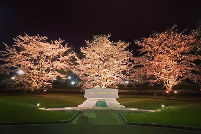 Soka Universityさんのインスタグラム写真 - (Soka UniversityInstagram)「Campus Seasonal Photos April ② 丹木の歳時記　卯月(二) #discoversoka #sodaigram #sodaipictures #sokaphotos #sokauniversity #創価大学 #hachioji #八王子 #tokyo #東京 #campus #キャンパス #university #大学 #students #学生 #global #グローバル #spring #春 #fourseasons #四季 #april #4月 #卯月 #sakura #桜 #nature #自然 #environment」4月26日 11時49分 - sokauniversity