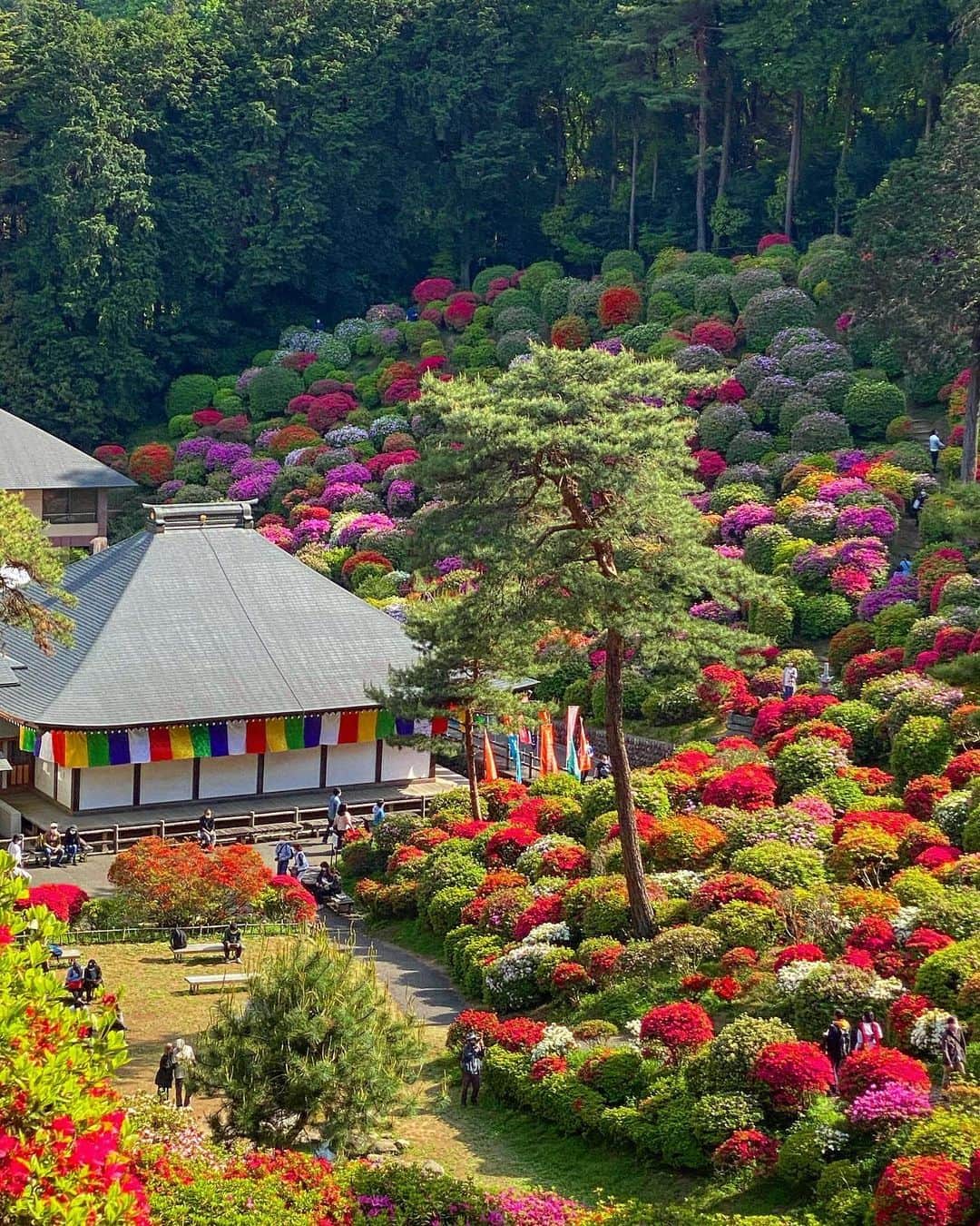 旅行比較サイト・トラベルコ 理想の旅を、いちばん安く。のグルメインスタ