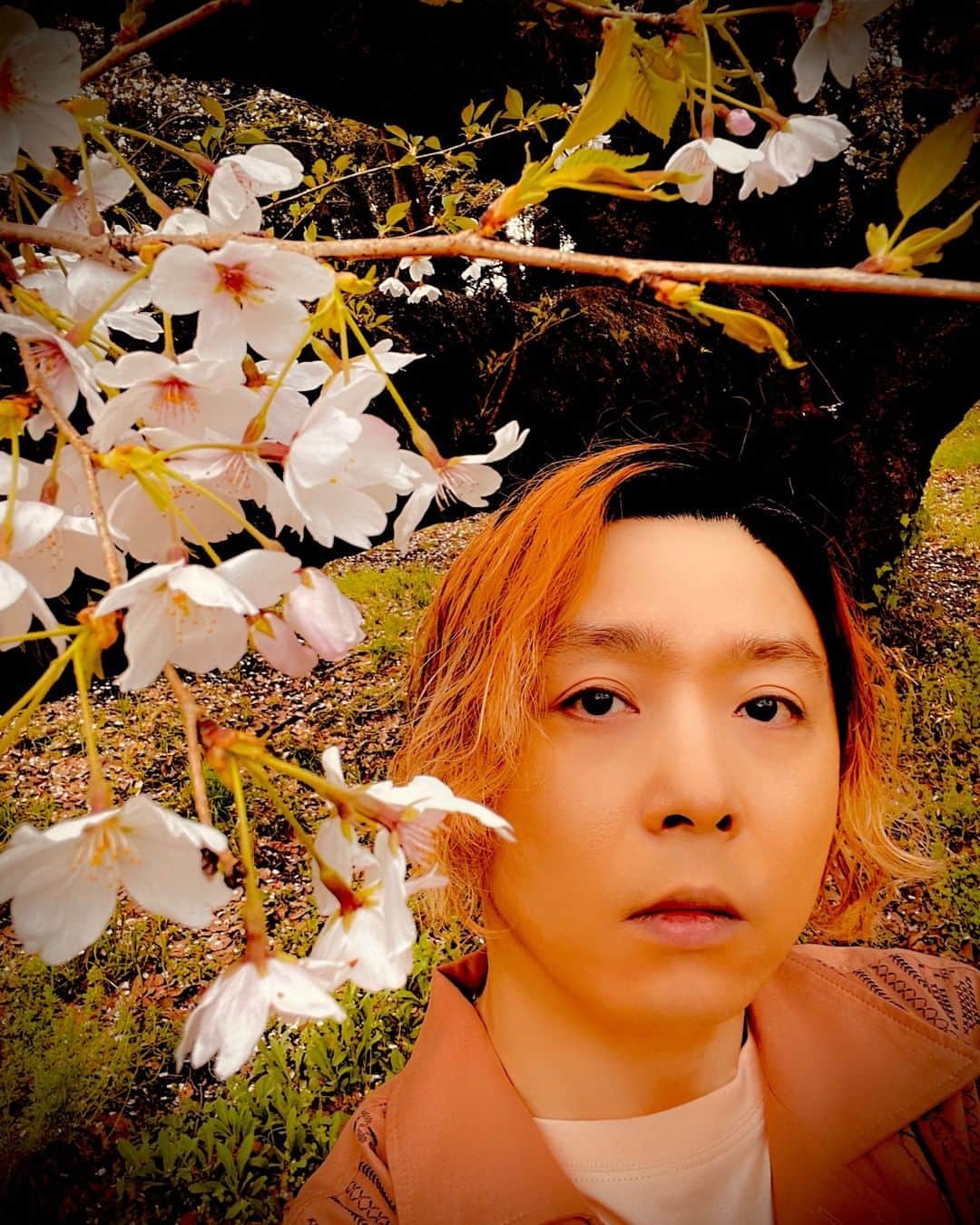 堂本剛さんのインスタグラム写真 - (堂本剛Instagram)「#ENDRECHERI」4月26日 12時00分 - tsuyoshi.d.endrecheri.24h.funk