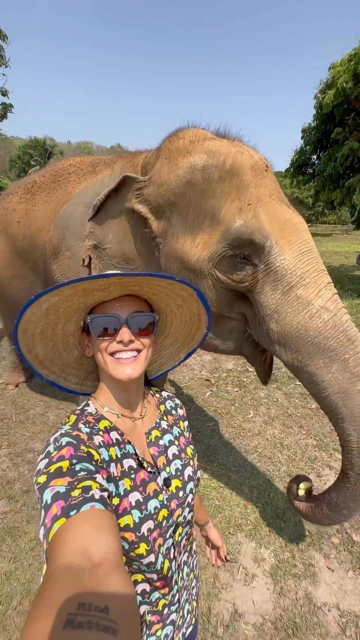 ヨハンナ・ソラノのインスタグラム：「✨ SANTUARIO DE ELEFANTES ✨🐘🤍  ¡Que alguien me despierte! Todo un sueño haber ayudado a alimentar, dar cariño y hasta bañar a estos maravillosos animalitos que han sido rescatados de la vida salvaje por una u otra razón. 🙏🏽  Aquí en Tailandia los elefantes son sagrados, ver cómo los chinean aquí y además haber sido parte de su día me llenó mucho el corazón. ❤️‍🩹  ¡Gracias @costaricaaway por haber incluido el Santuario de Elefantes en nuestro viaje! ✈️ ¡Qué gran día! 🥹  (Hasta una propuesta de matrimonio de mis compañeros viajeros me eché, jajaja).」