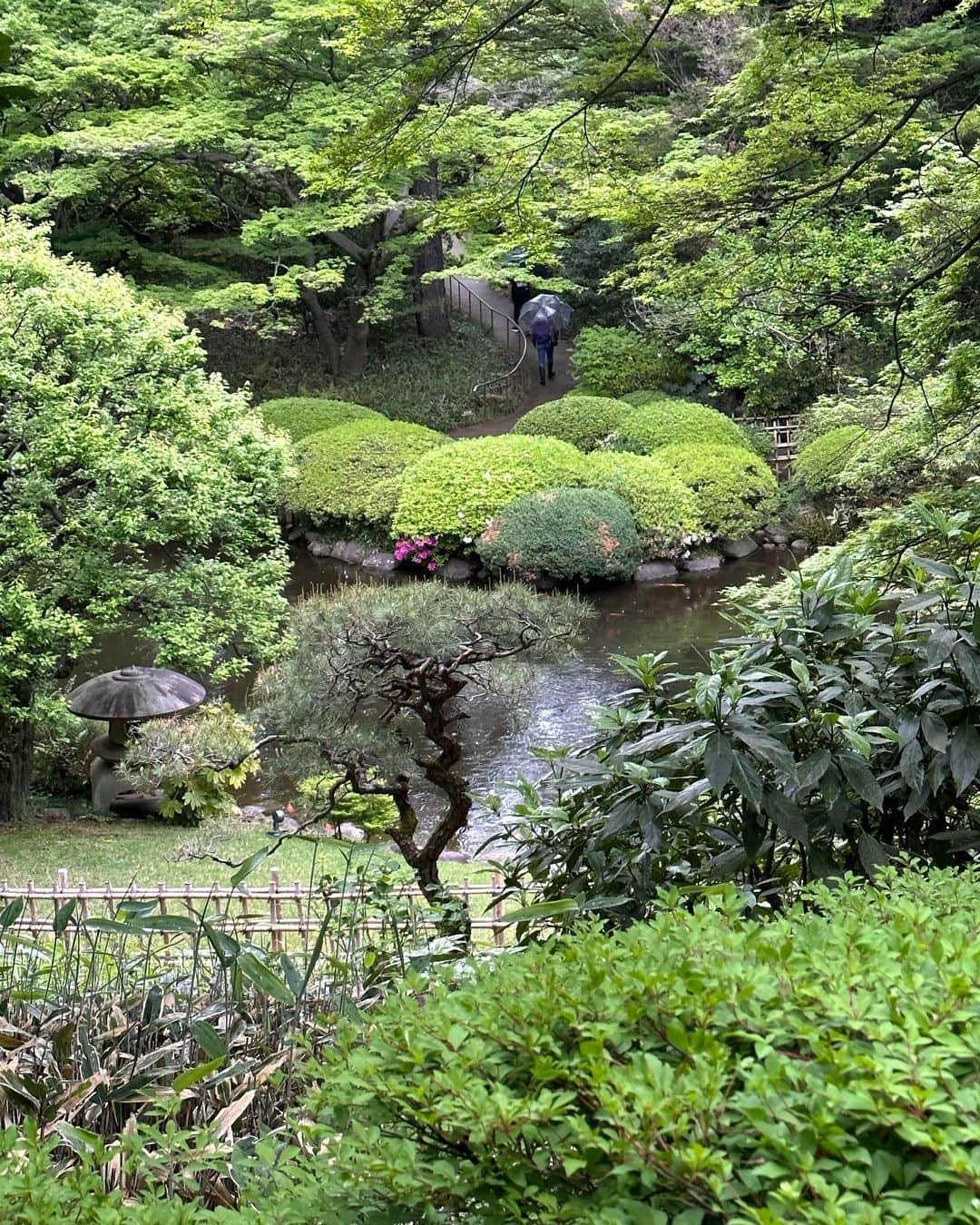 エル・マクファーソンさんのインスタグラム写真 - (エル・マクファーソンInstagram)「When you look out of your eyes, at nature happening out there, you’re looking at you. That’s the real you. The you that goes on of itself.” ~A Conversation with Myself Alan Watts ….Real travel requires a maximum of unscheduled wandering, for there is no other way of discovering surprises and marvels, which, as I see it, is the only good reason for not staying at home. Tokyo - you’ve been full of surprises ! Thankyou…」4月26日 3時32分 - ellemacpherson