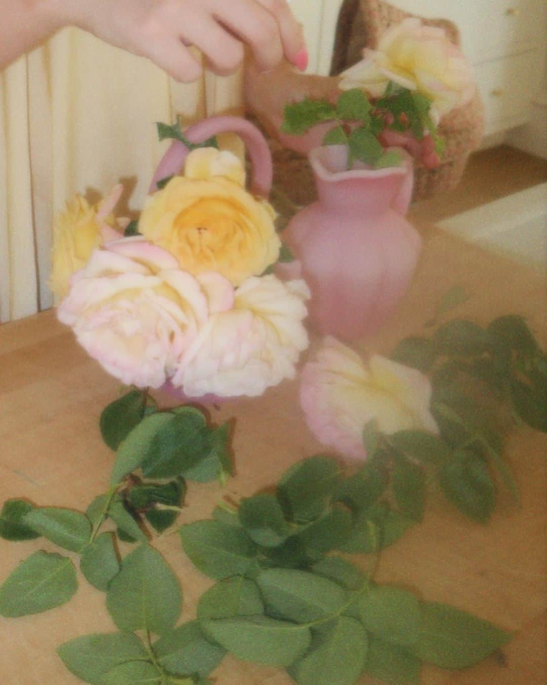 Amber Fillerup Clarkさんのインスタグラム写真 - (Amber Fillerup ClarkInstagram)「Picking roses 💛」4月26日 4時18分 - amberfillerup