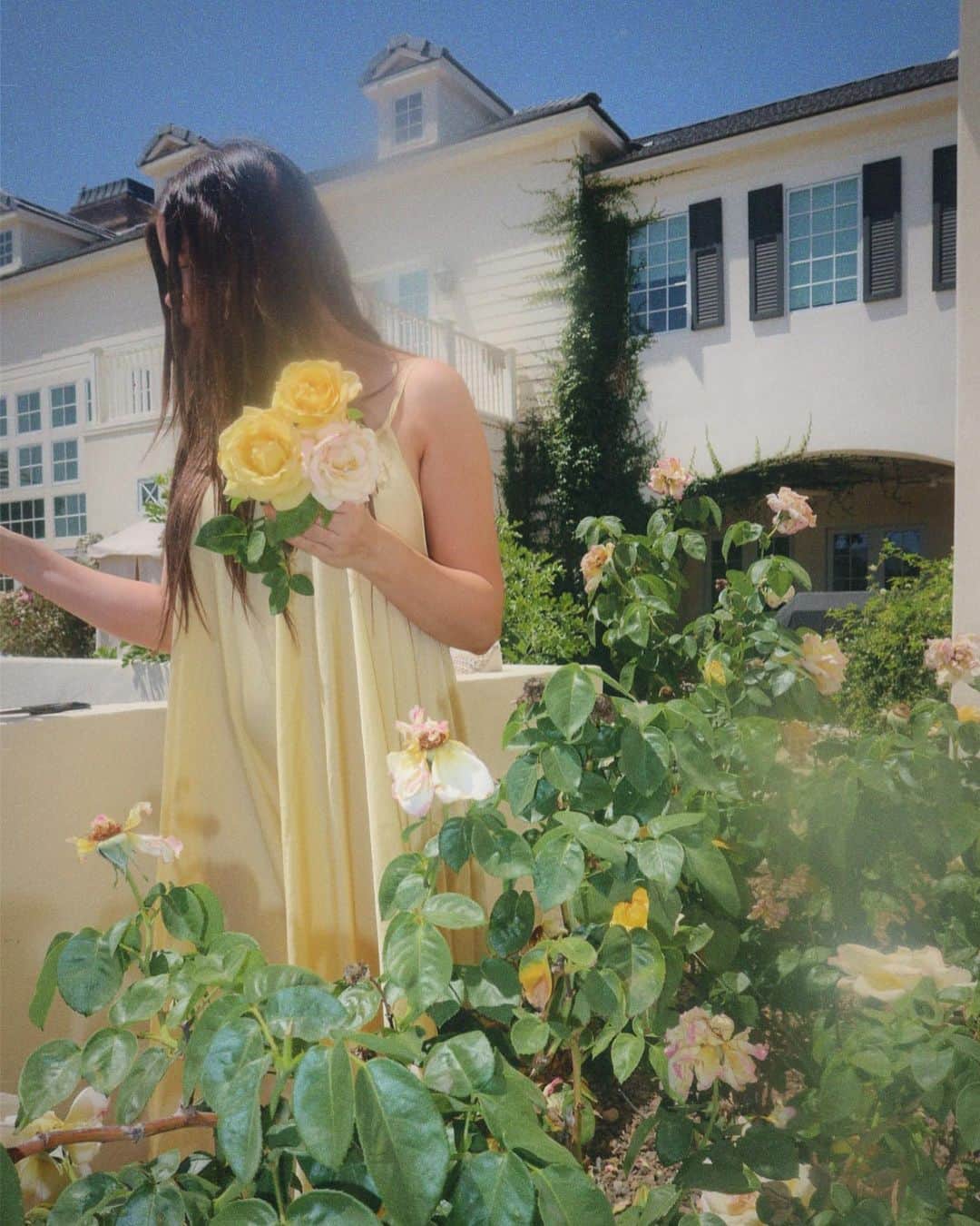 Amber Fillerup Clarkのインスタグラム：「Picking roses 💛」