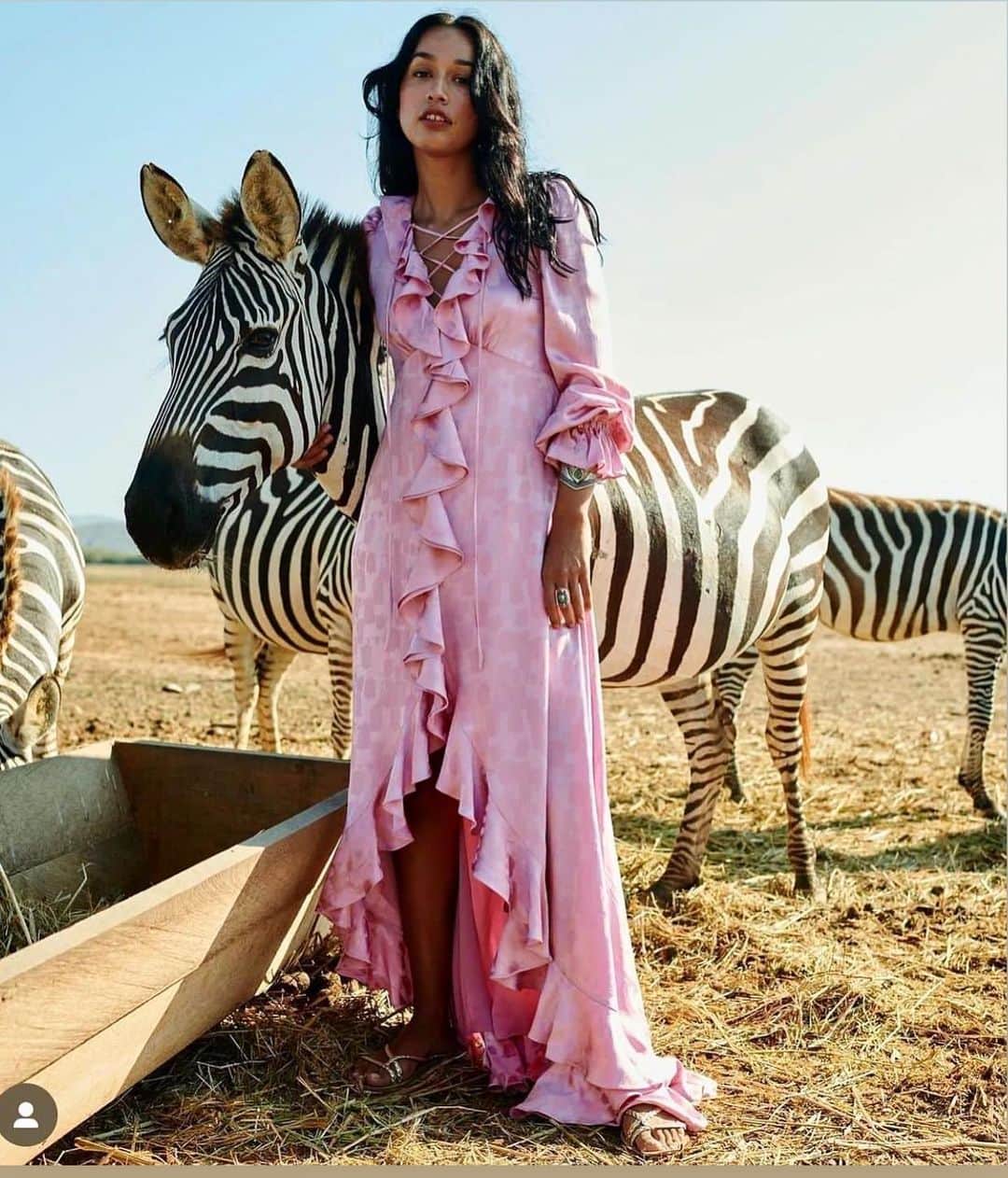 アリスバイテンパリーのインスタグラム：「PERFECT PINK💕  We designed this jacquard fabric with a little stretch and a 1950’s inspired delicate tulip flower in the weave and made it in Italy.   Image with zebras 🦓 shot with friends at @cuixmala ❤️ Mexico x   Dress also comes in a deep inky Navy @temperleylondon」