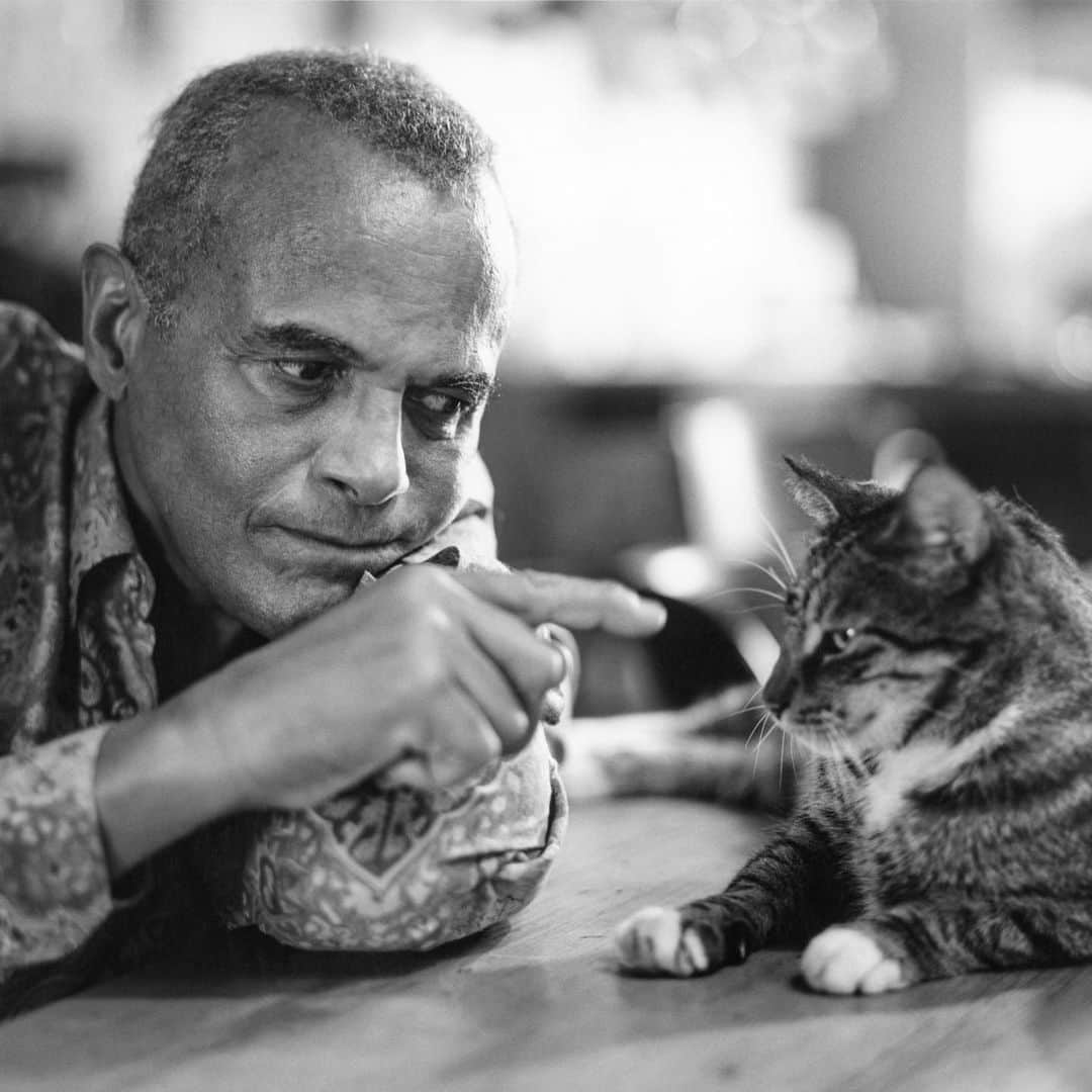 ブルース・ウェーバーのインスタグラム：「The legendary Harry Belafonte… I took this a photo of him for Interview with my cat, Tyson, in 1996. A humbling day spent with a truly great man who fought so hard for justice in our country and the world.」